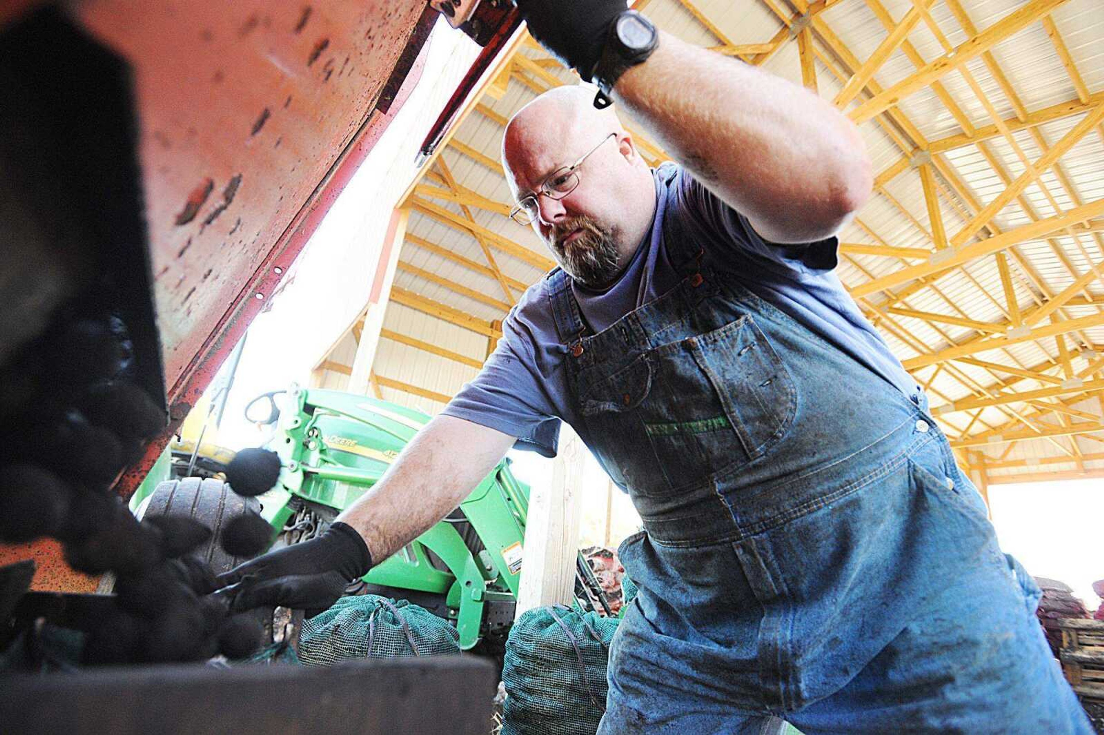 Walnuts are bagged Oct. 21, 2014, at Martin Walnut Tree Farm in Cape Girardeau County. The end of September was Black Walnut Week in Missouri, as proclaimed by Gov. Mike Parson.