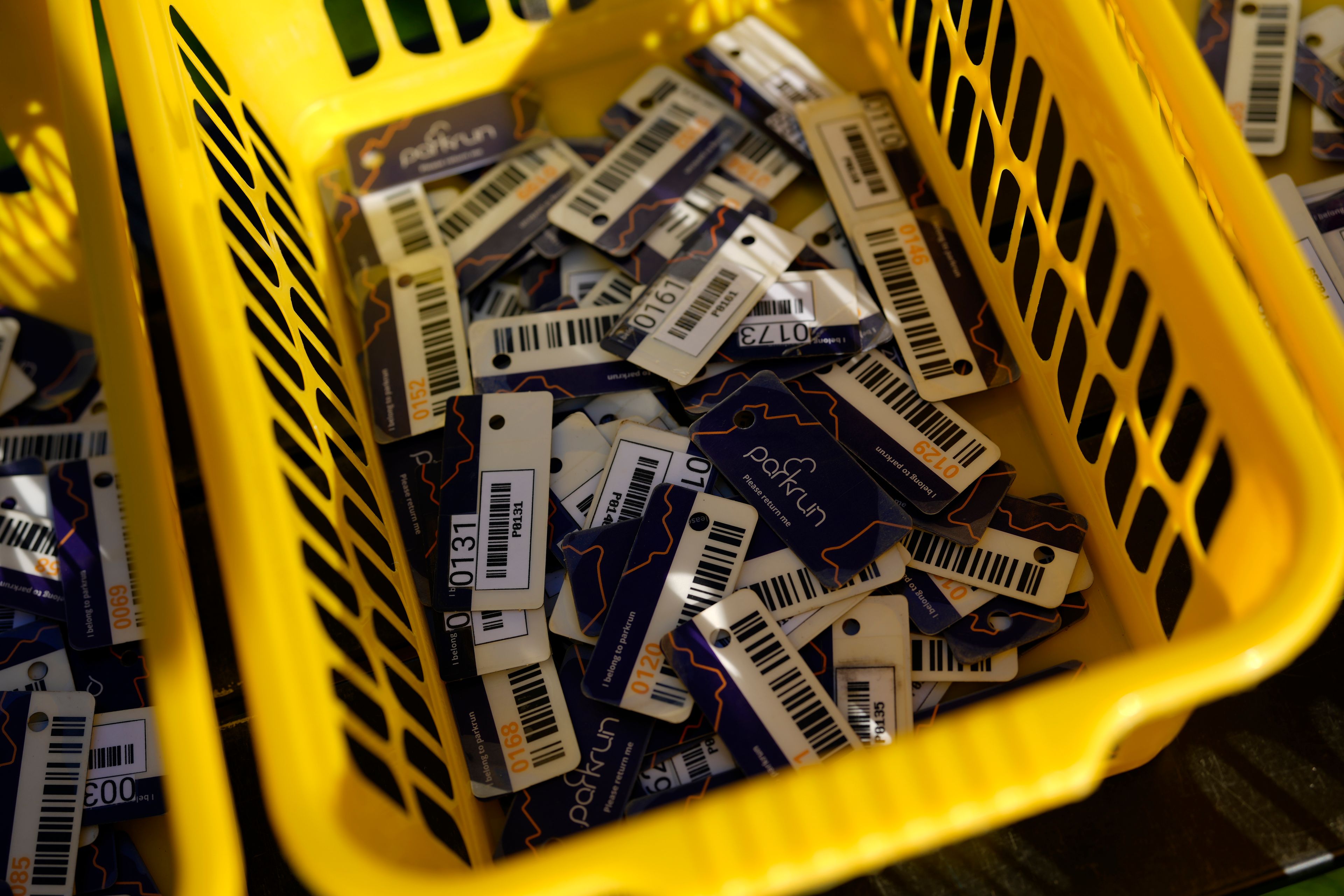 Bar code tags used by competitors are collected at the end of the parkrun event in Bushy Park, southwest London, Saturday, Sept. 28, 2024. (AP Photo/Alastair Grant)