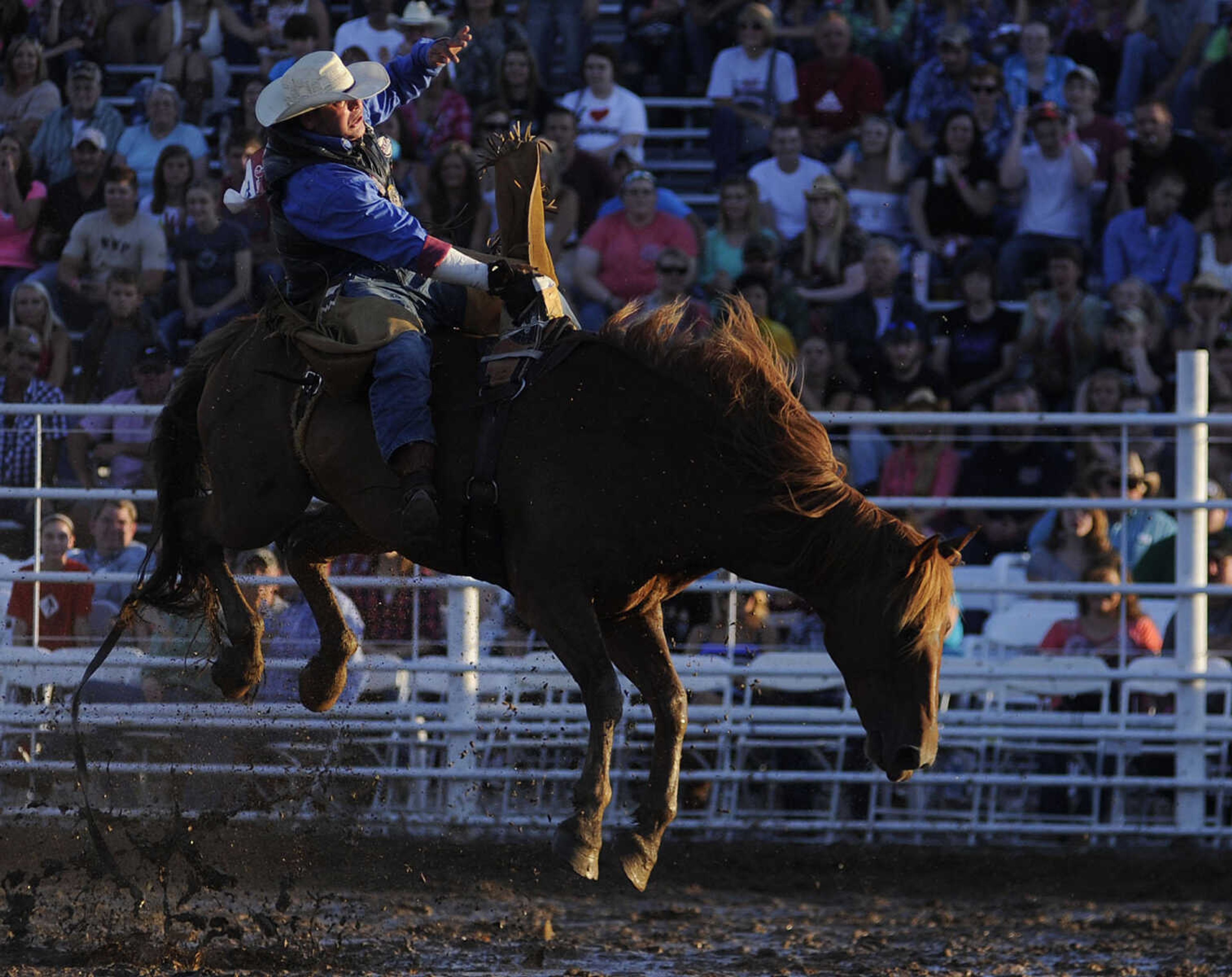 Andy Carter of Ellisnore, Mo., rides Dollar Whiskey in the bareback riding competition at the Sikeston Jaycee Bootheel Rodeo Wednesday, August 7, in Sikeston, Mo. Carter received a score of 71 for his ride.