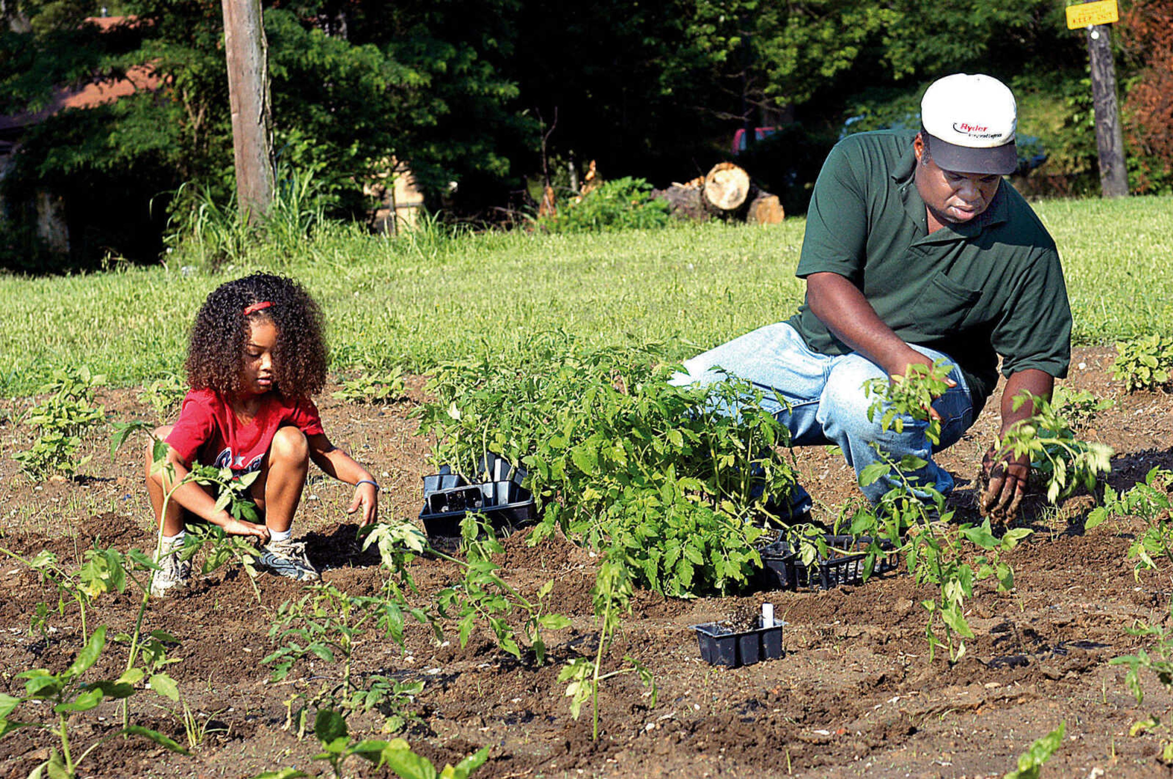 Robert Harris, right, with some help from Alexis Allstun, 4, planted about 300 tomatoes plants at the Fountain street community garden. The plants were donated by the Southeast Missouri State University to the community garden.  Harris and seven others take care of the garden about twice a week. The vegetables and flowers grown at the garden will be donated to certain families in the neighborhood. (Diane Wilson)