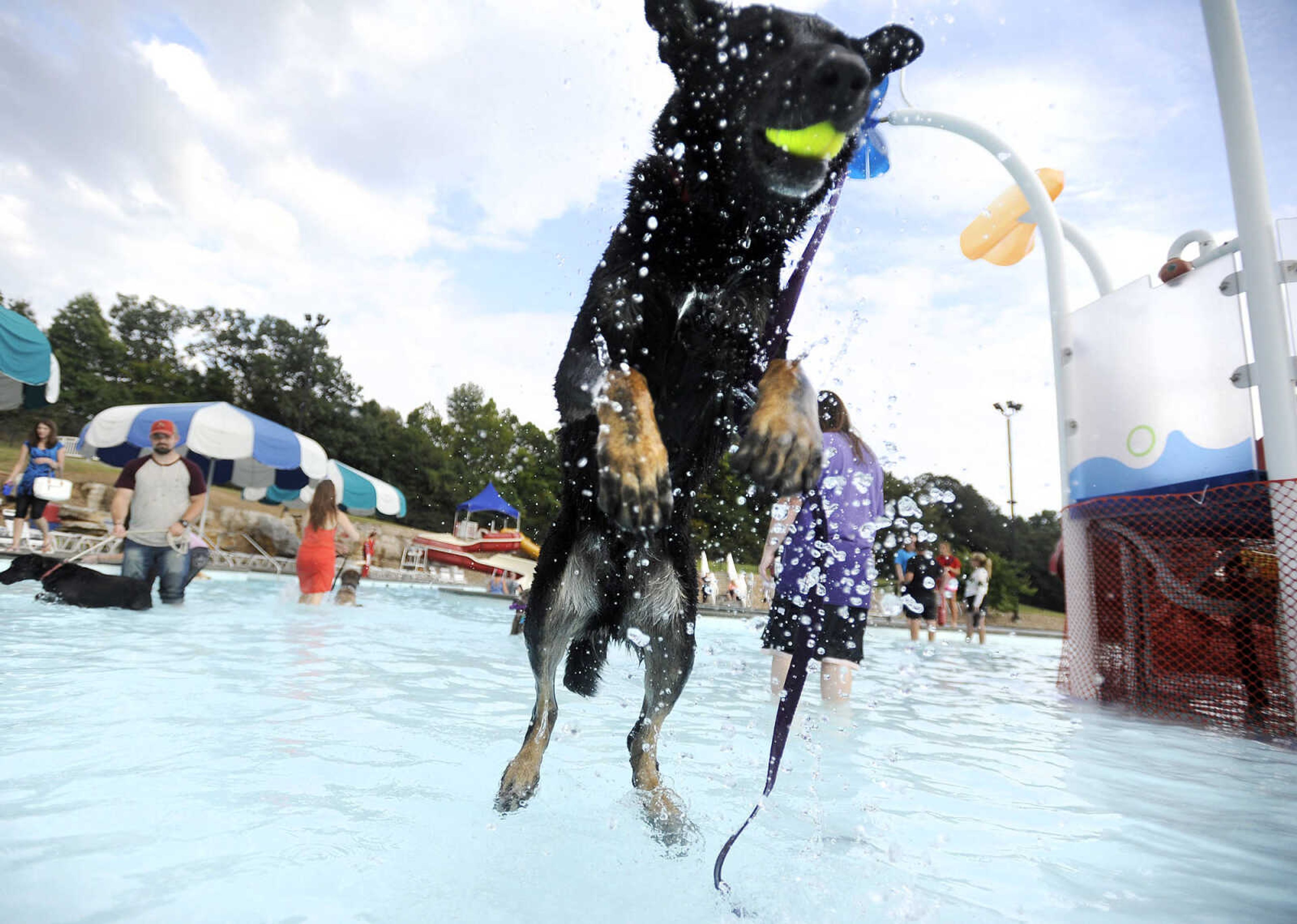 LAURA SIMON ~ lsimon@semissourian.com

Doggy Swim Day at Cape Splash, Sunday, Sept. 27, 2015, in Cape Girardeau. Leashed dogs got to swim and play in the lazy river and swimming pools with their owners. Proceeds from event benefit the Cape Girardeau Parks and Recreation Foundation.