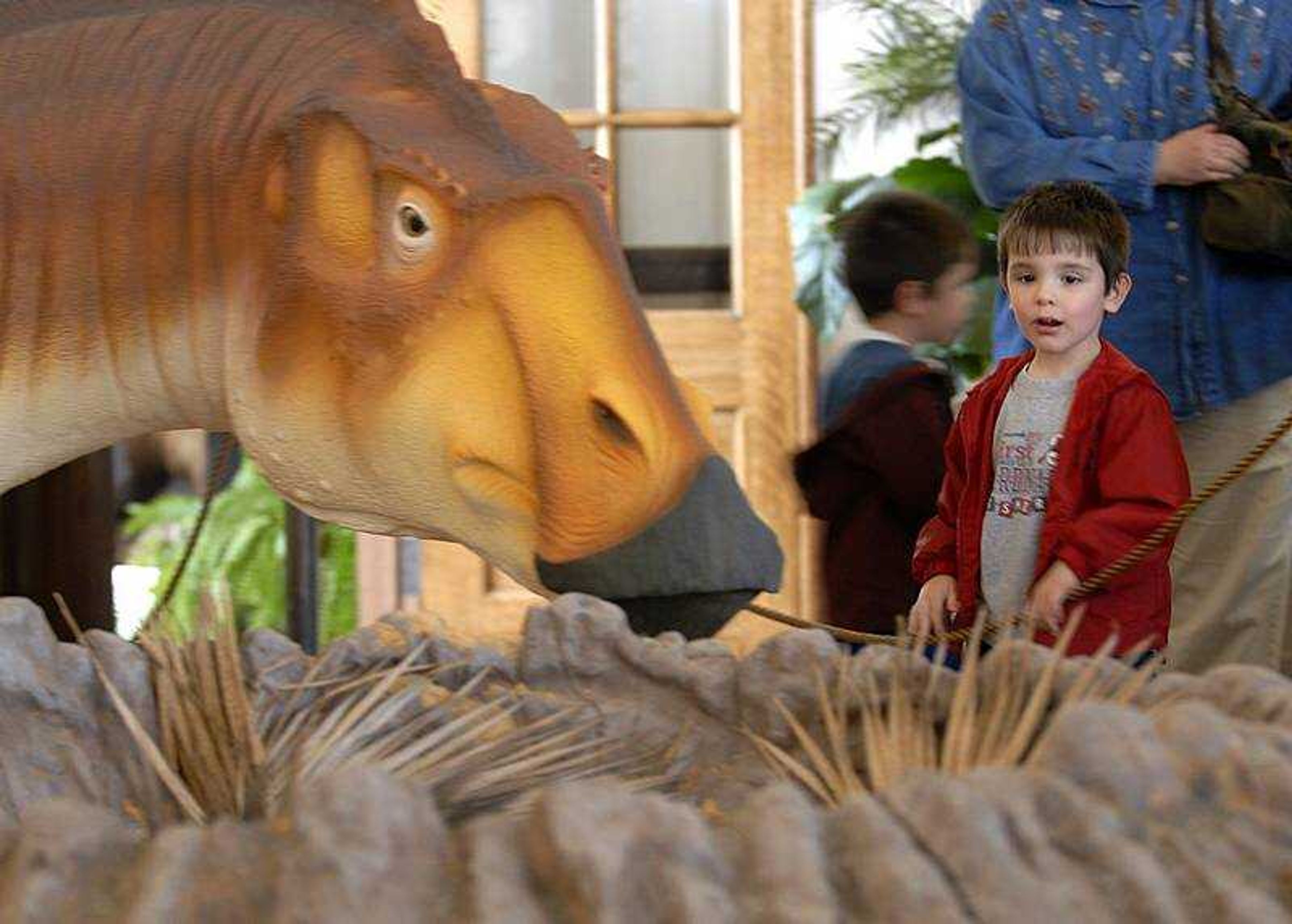 AARON EISENHAUER ~ aeisenhauer@semissourian.com
Three-year-old Andres Stacy looked at the newly unveiled replica of the Hypsibema missouriense Friday at the Bollinger County Museum of Natural History in Marble Hill, Mo.