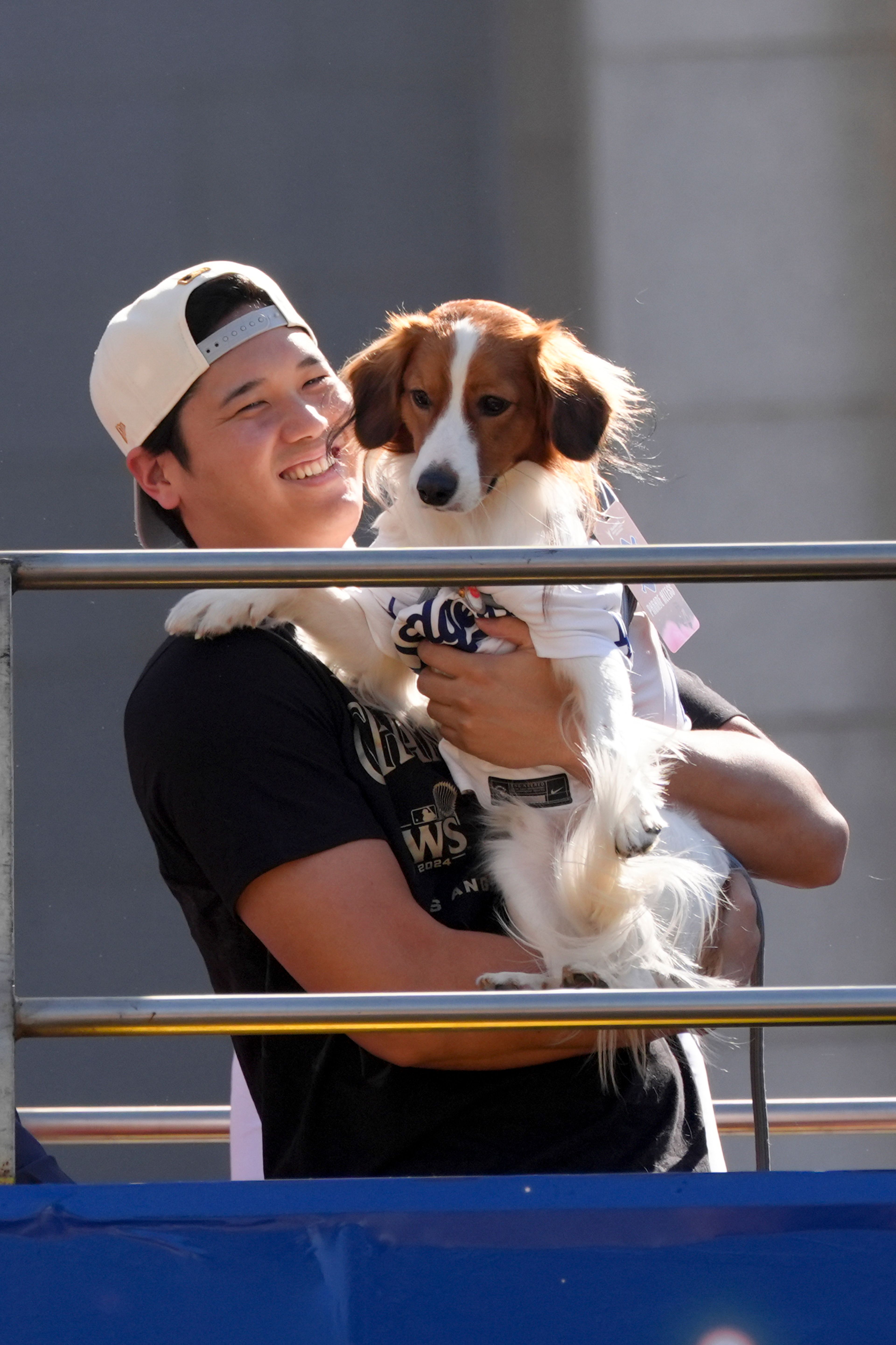 Los Angeles Dodgers' Shohei Ohtani holds his dog Decoy during the Los Angeles Dodgers baseball World Series championship parade Friday, Nov. 1, 2024, in Los Angeles. (AP Photo/Jae C. Hong)