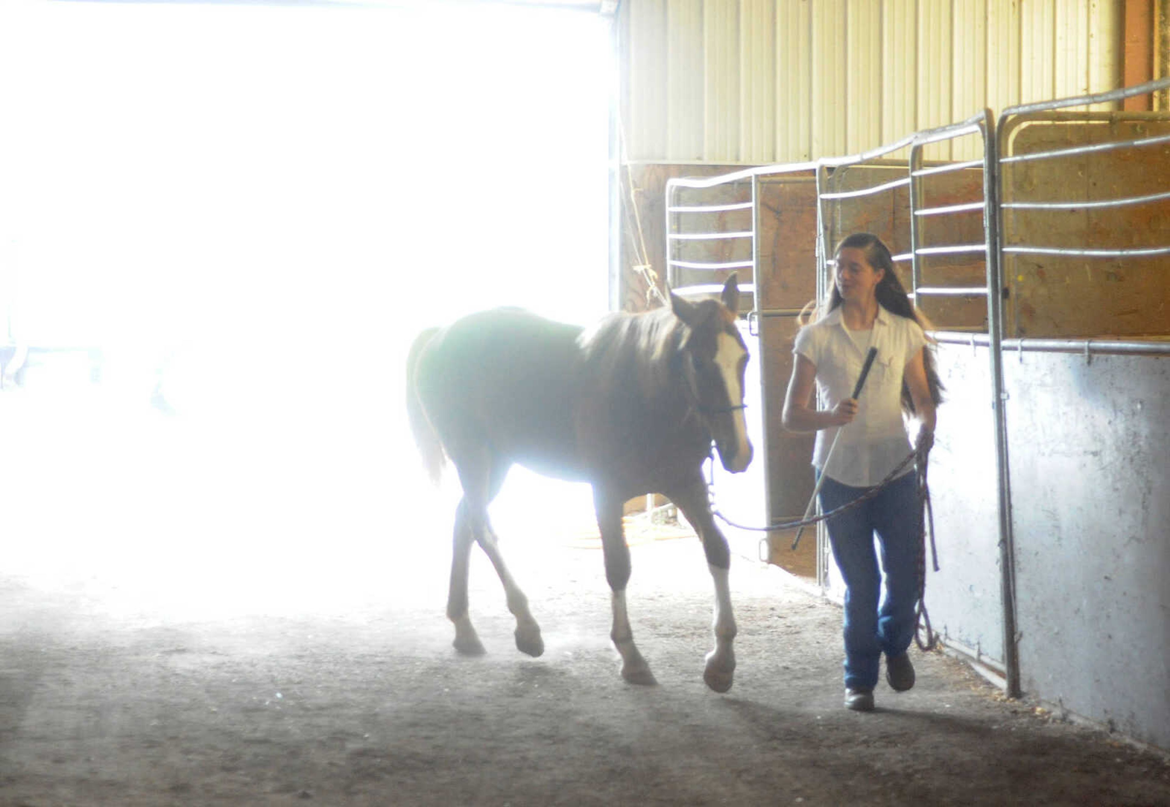 LAURA SIMON ~ lsimon@semissourian.com

Allison Elfrink and her wild mustang, Chico, at Flickerwood Arena in Jackson, Missouri, Wednesday, Aug. 5, 2015.