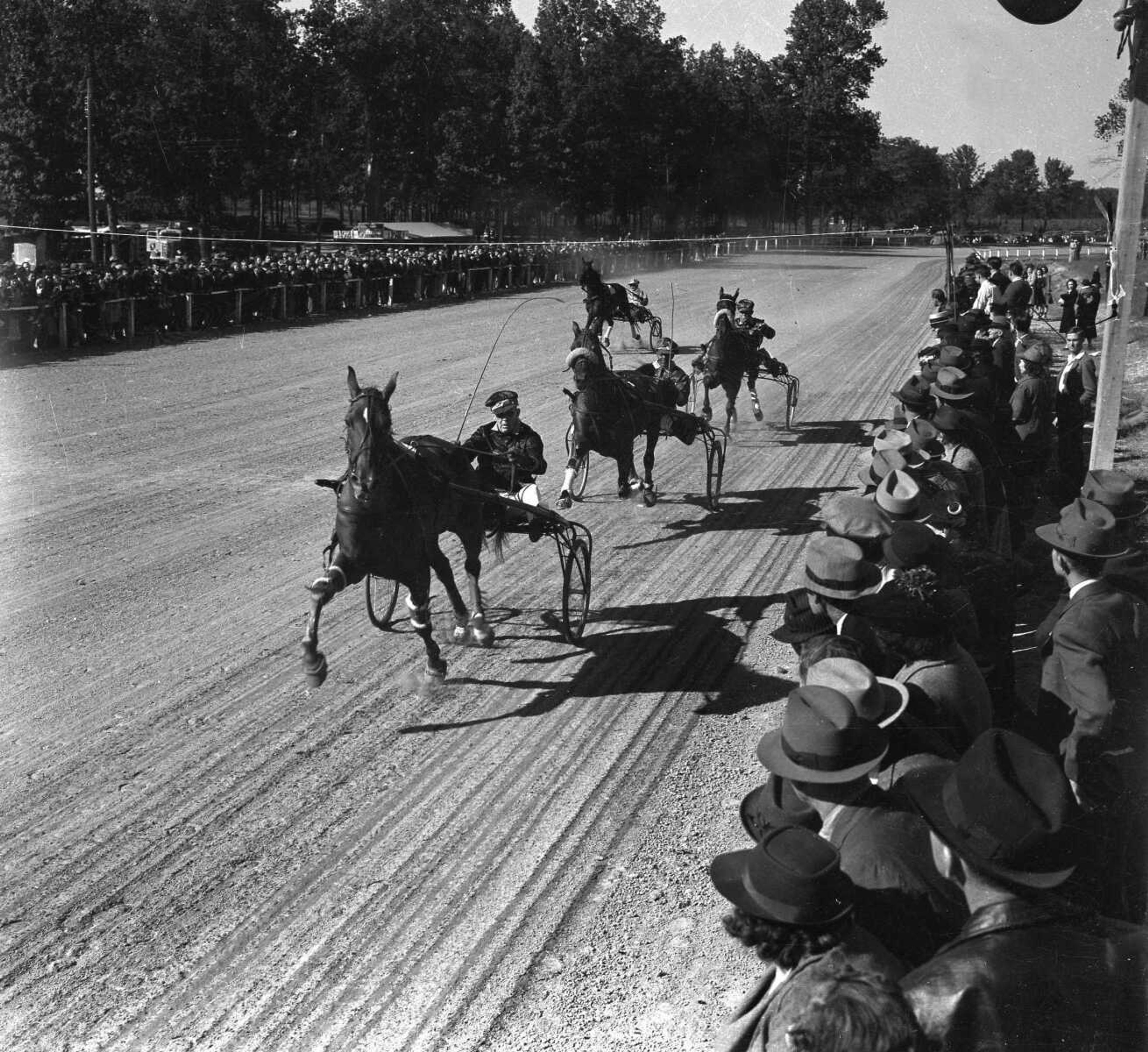 Sulky racing at the SEMO District Fair. Published Sept. 27, 1940. Gus Thompson of Paducah, Ky., driving "Benton Watts," finishes the pace in 2 minutes, 11 seconds to cop the 2:15 trot feature. (Missourian archives photo by G.D. "Frony" Fronabarger)