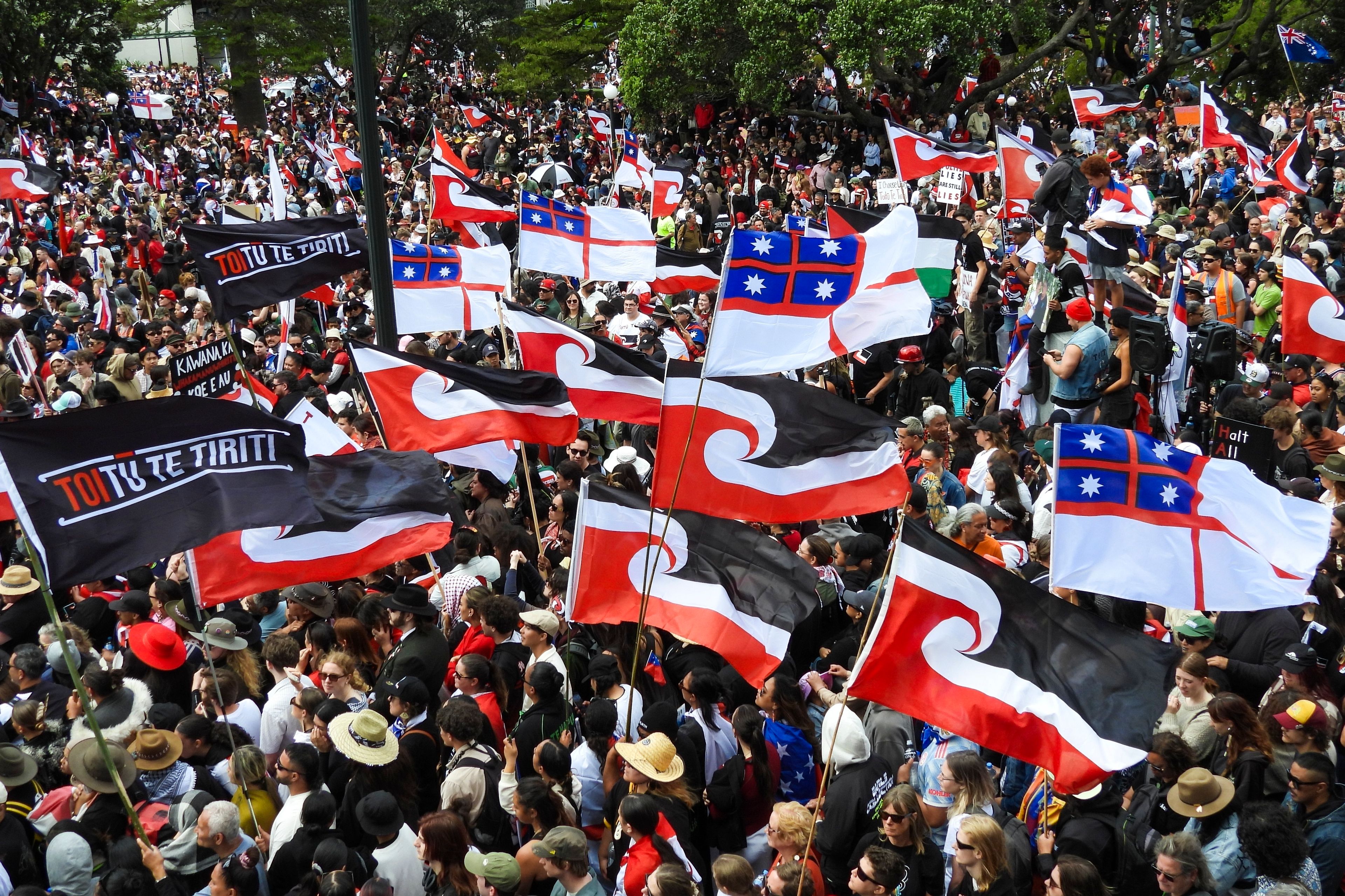 Thousands of people gather outside New Zealand's parliament to protest a proposed law that would redefine the country's founding agreement between Indigenous Māori and the British Crown, in Wellington Tuesday, Nov. 19, 2024. (AP Photo/Charlotte Graham-McLay)