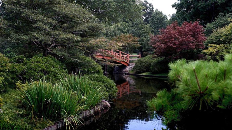 Japanese garden