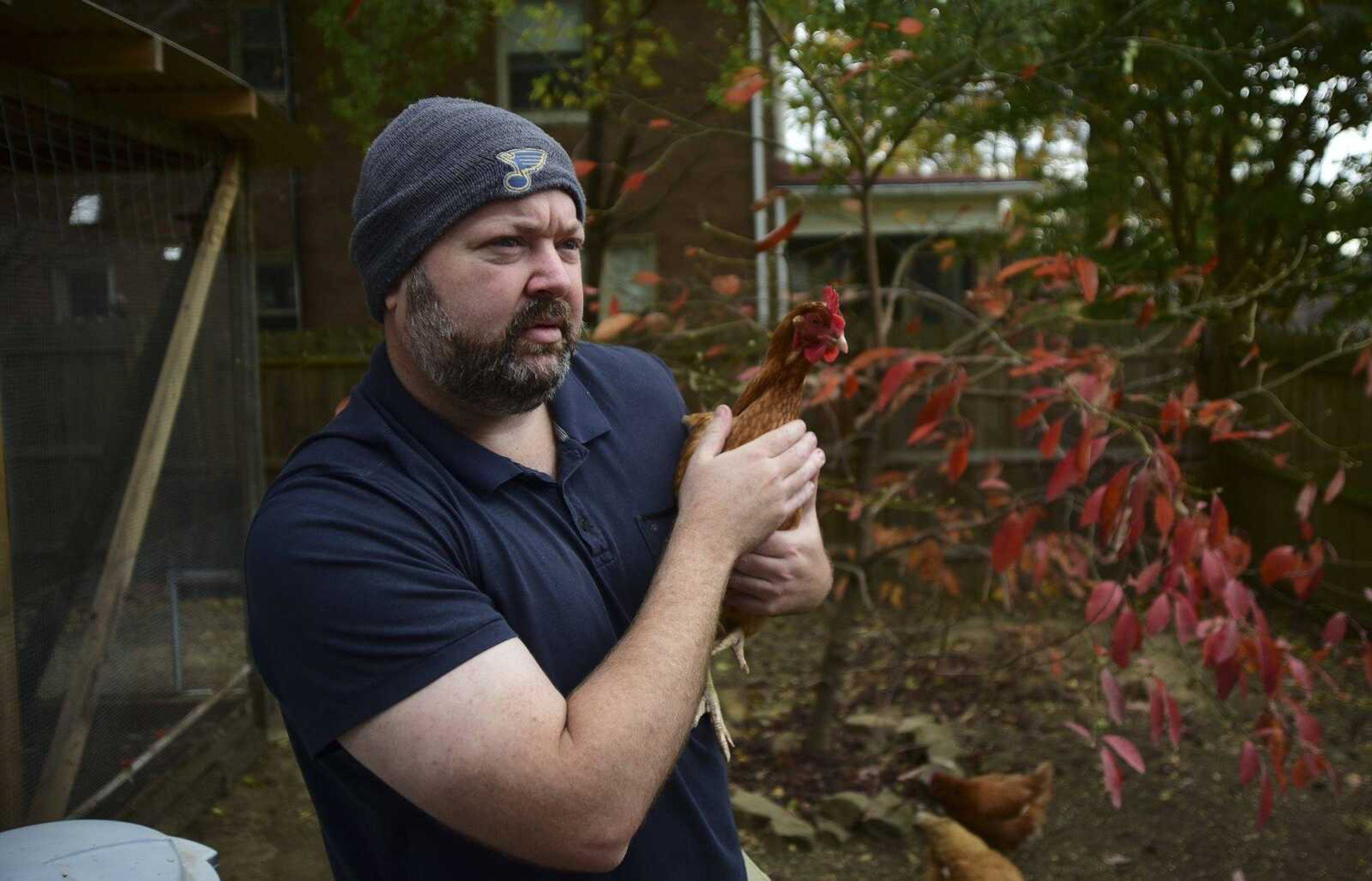 Andrew Bard holds one of his chickens Nov. 18 in Cape Girardeau. Andrew Bard is petitioning to change the city ordinances to allow chickens on his property.