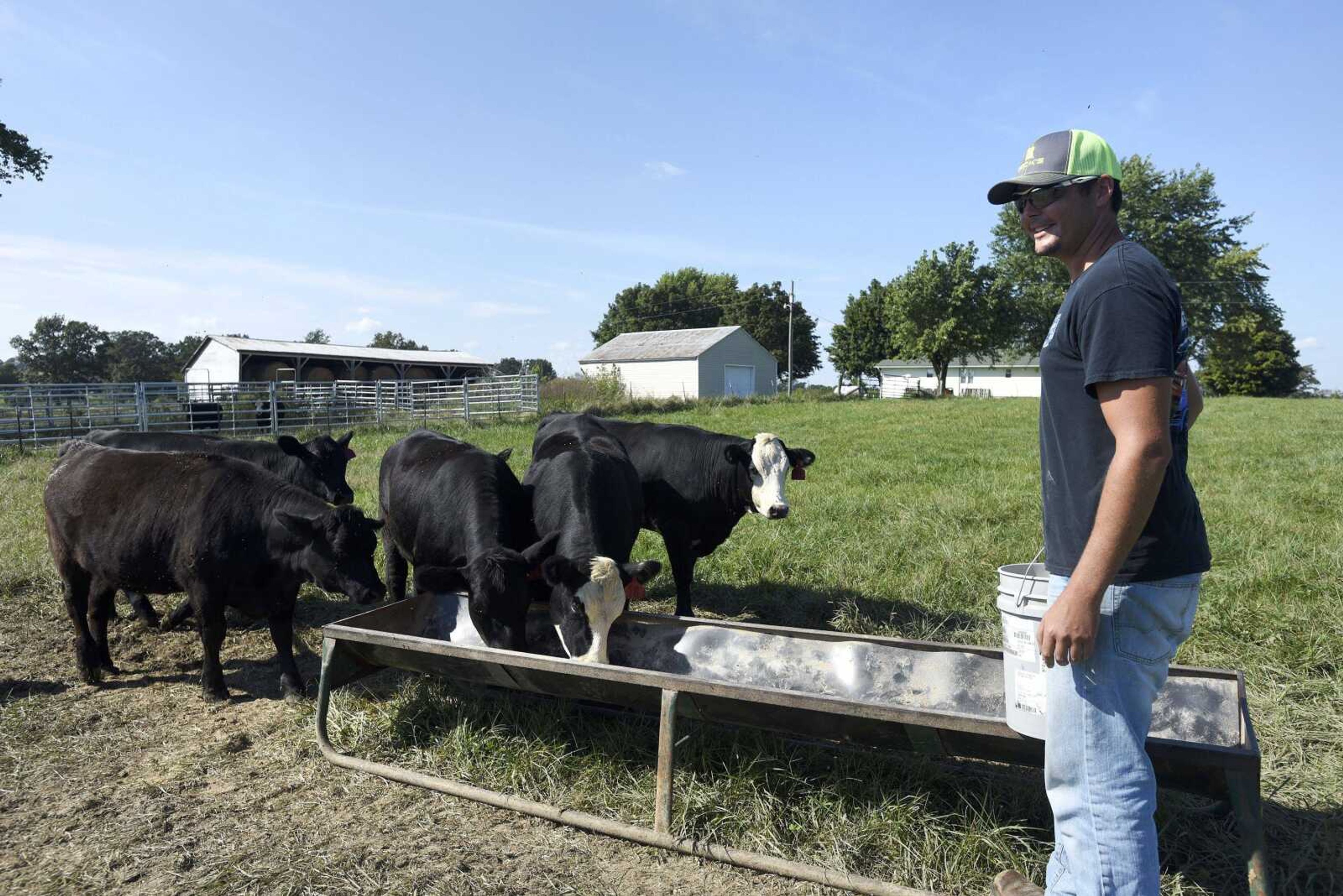 Tyler Brune feeds his cattle on his farm in Bollinger County on Tuesday, Sept. 20, 2016.