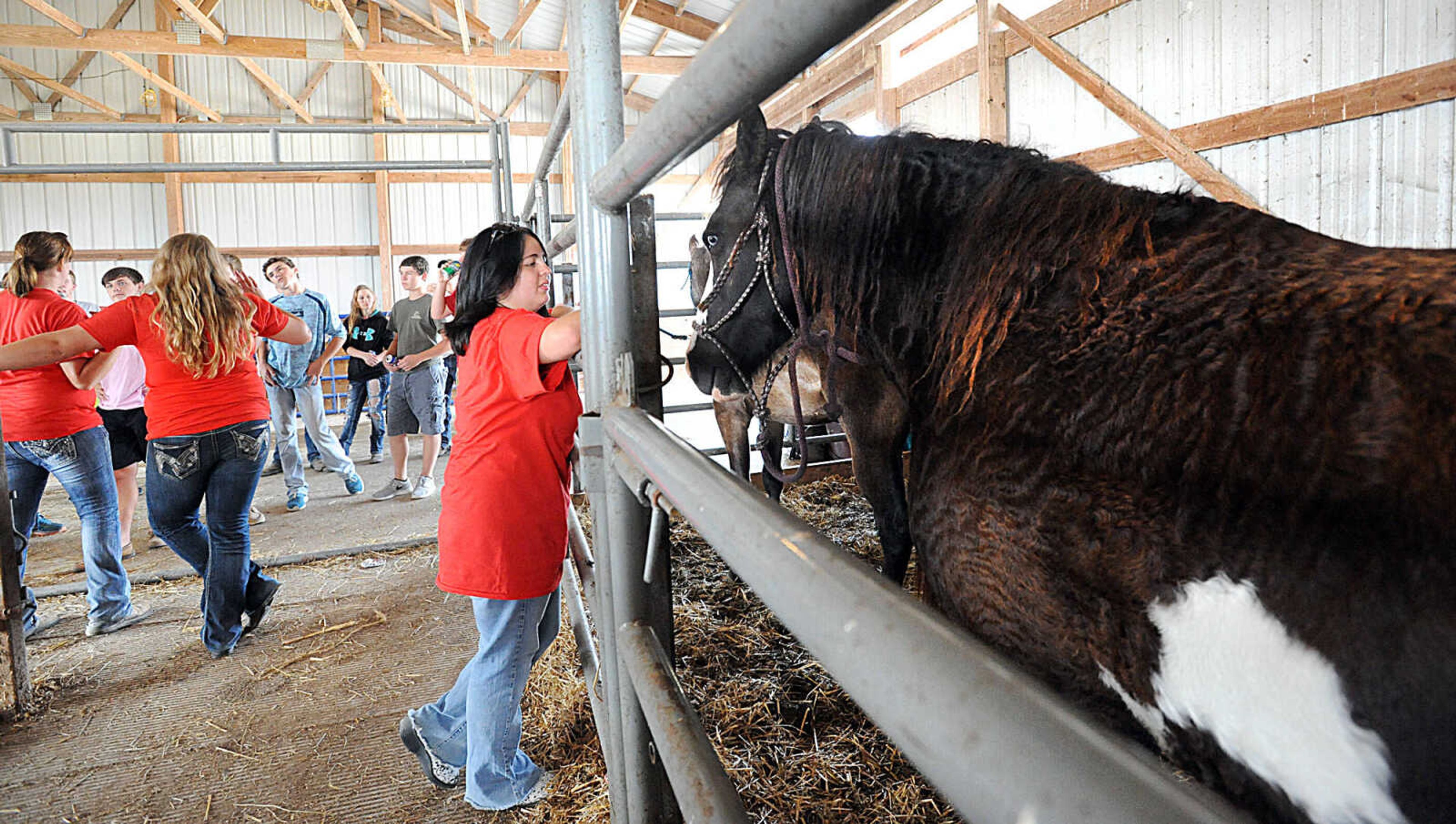 LAURA SIMON ~ lsimon@semissourian.com

The 12th annual Agriculture Education Field Day hosted by Southeast missouri State University's Department of Agriculture, Wednesday, Oct. 1, 2014. Around 400 students from area schools spent the day learning at the Charles Hutson Horticulture Greenhouse and the David M. Barton Research Center.