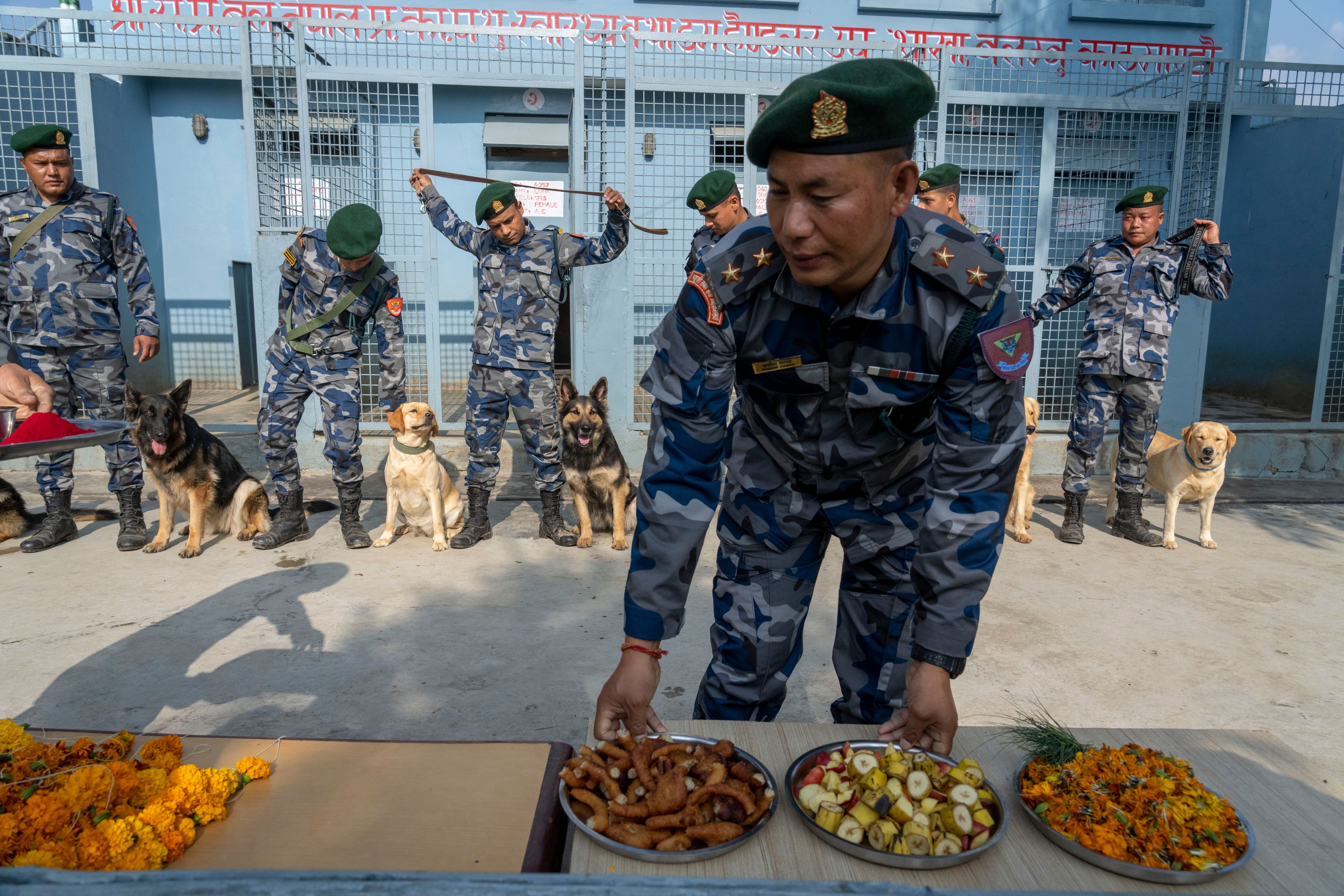 Nepal's Armed Police Force get ready with their dog to worship at their kennel division during Kukkur Tihar festival in Kathmandu, Nepal, Thursday, Oct. 31, 2024. Every year, dogs are worshiped to acknowledge their role in providing security during the second day of five days long Hindu festival Tihar. (AP Photo/Niranjan Shrestha)