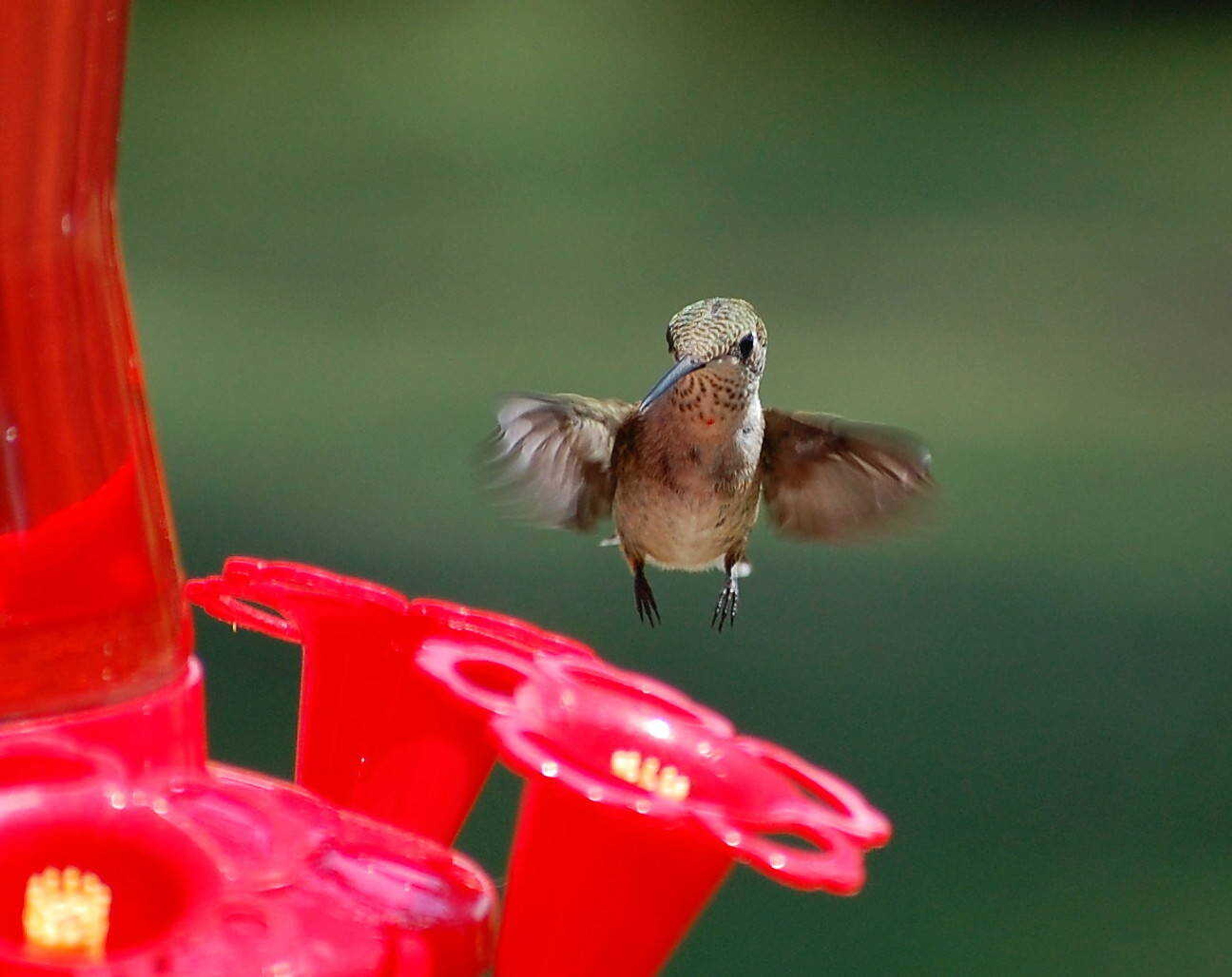 Coming in for a Landing