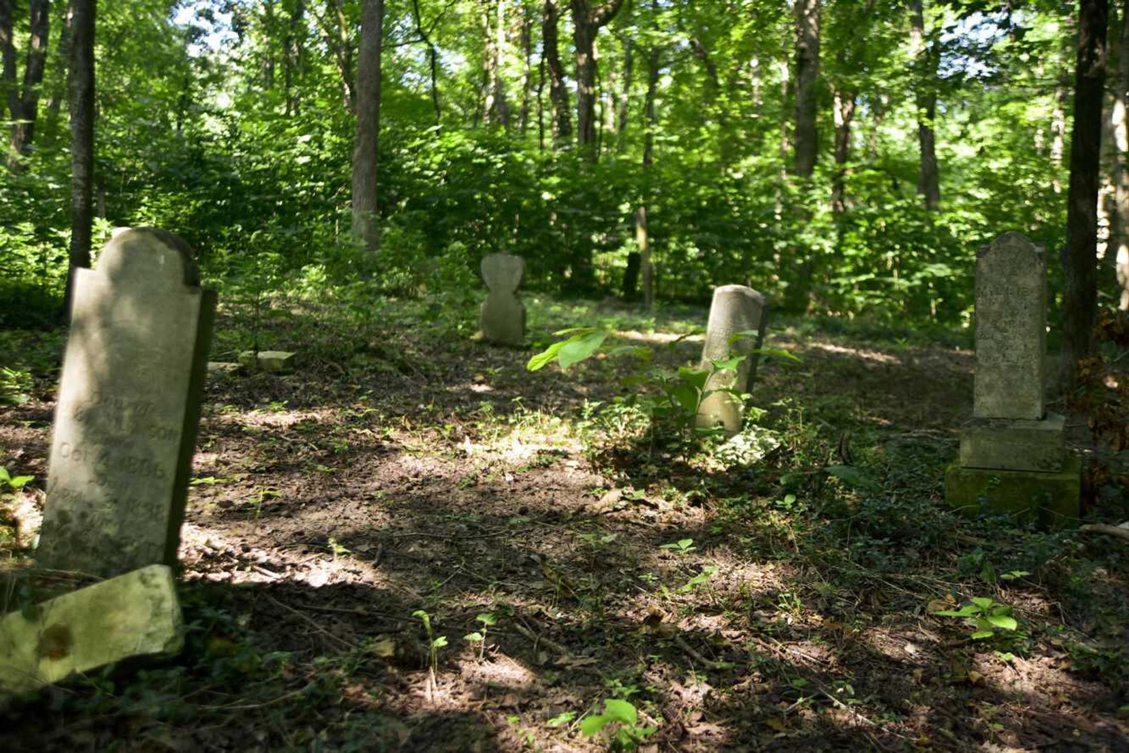 Shady Grove Cemetery has been organized as a not-for-profit entity.