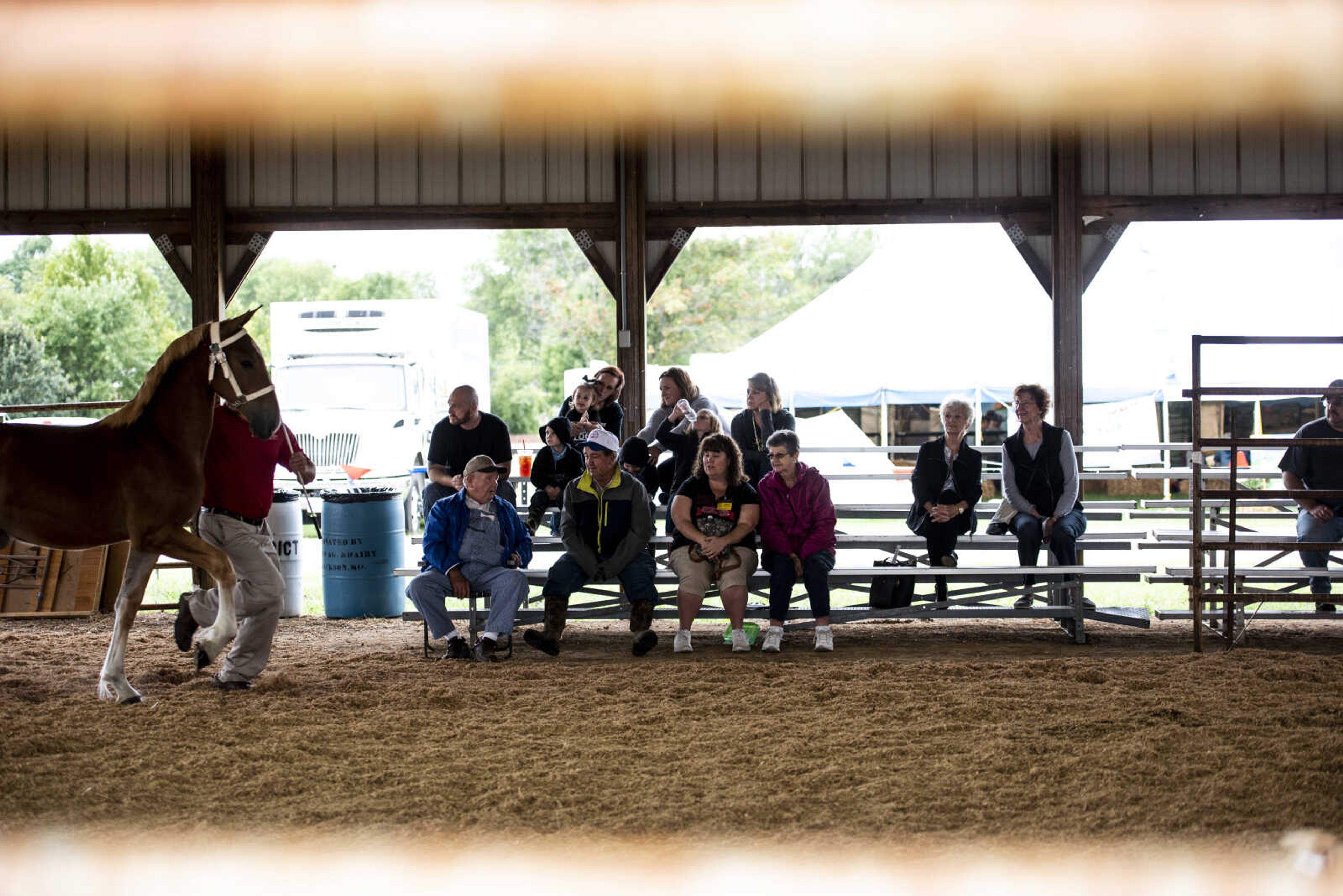 Fairgoers watch the draft horse judging at the SEMO District Fair Sunday, Sept. 9, 2018 in Cape Girardeau.