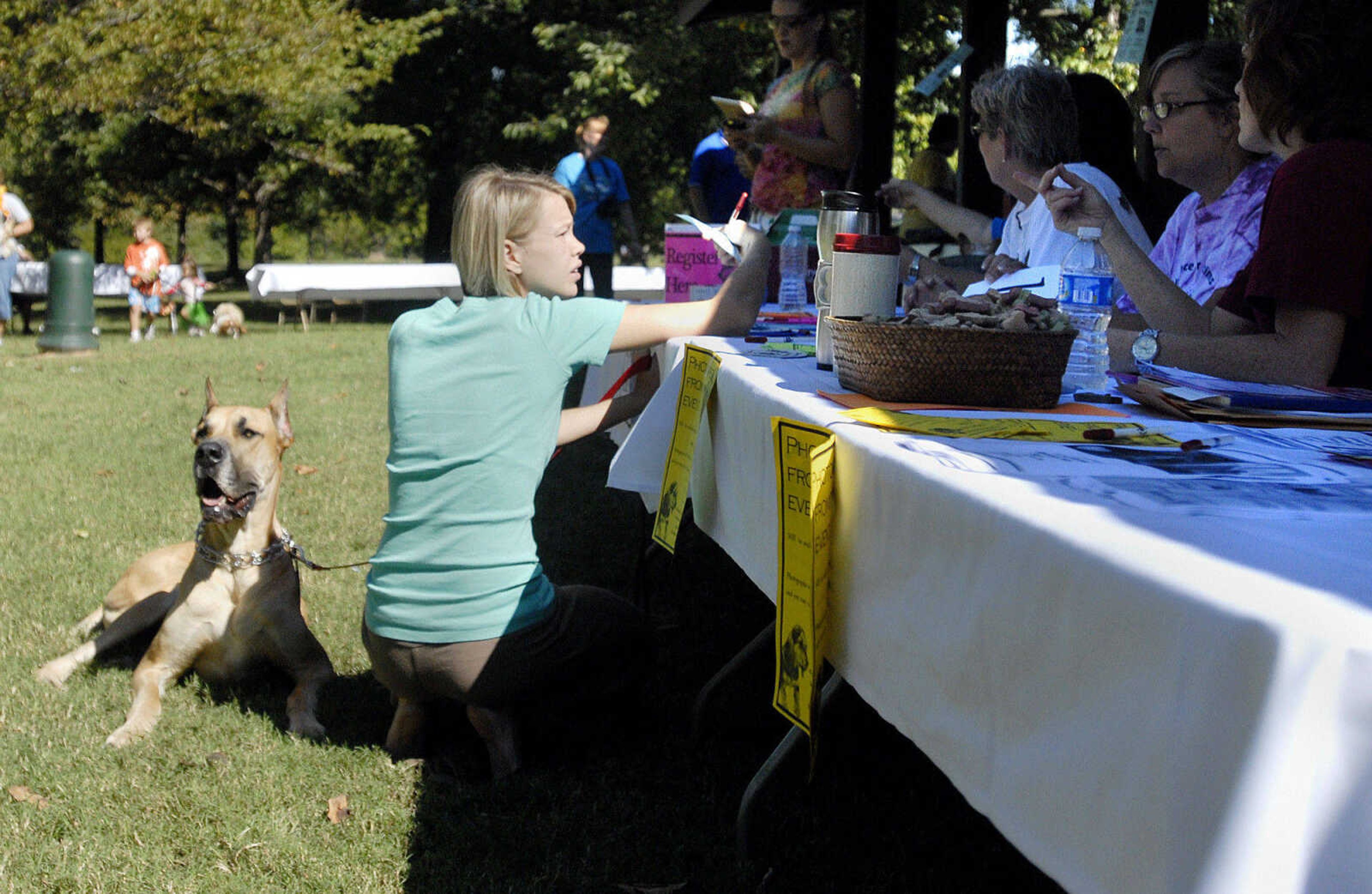 LAURA SIMON~lsimon@semissourian.com
Sarah Barnhart registers her great dane Granby at the judges table for the largest dog competition Saturday, September 25, 2010 during Bark in the Park at Kiwanis Park in Cape Girardeau.