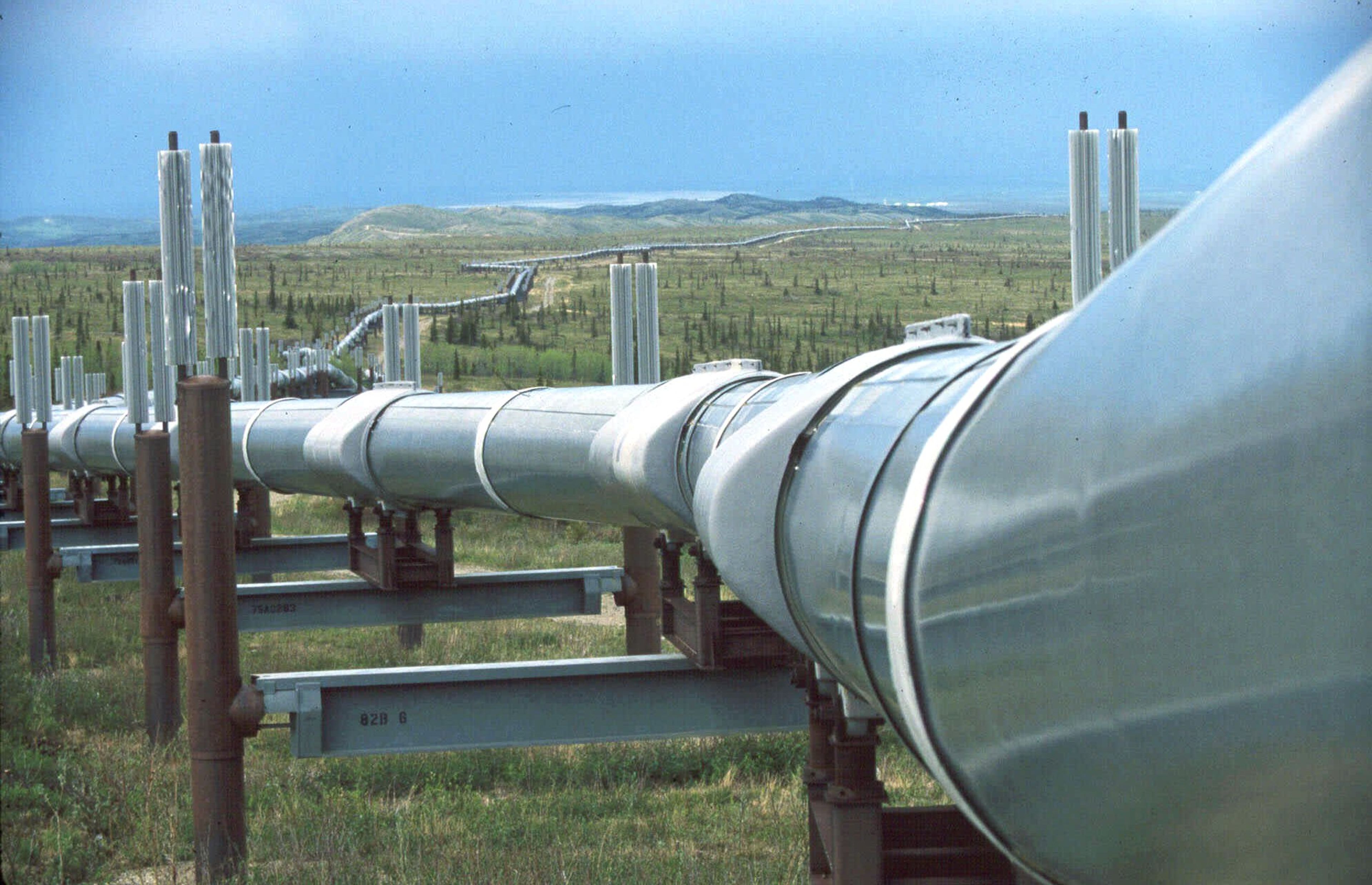 The Trans-Alaska oil pipeline snakes its way across the tundra near Delta, Alaska bringing oil from Alaska's North Slope to Valdez in this 1999 photo. 