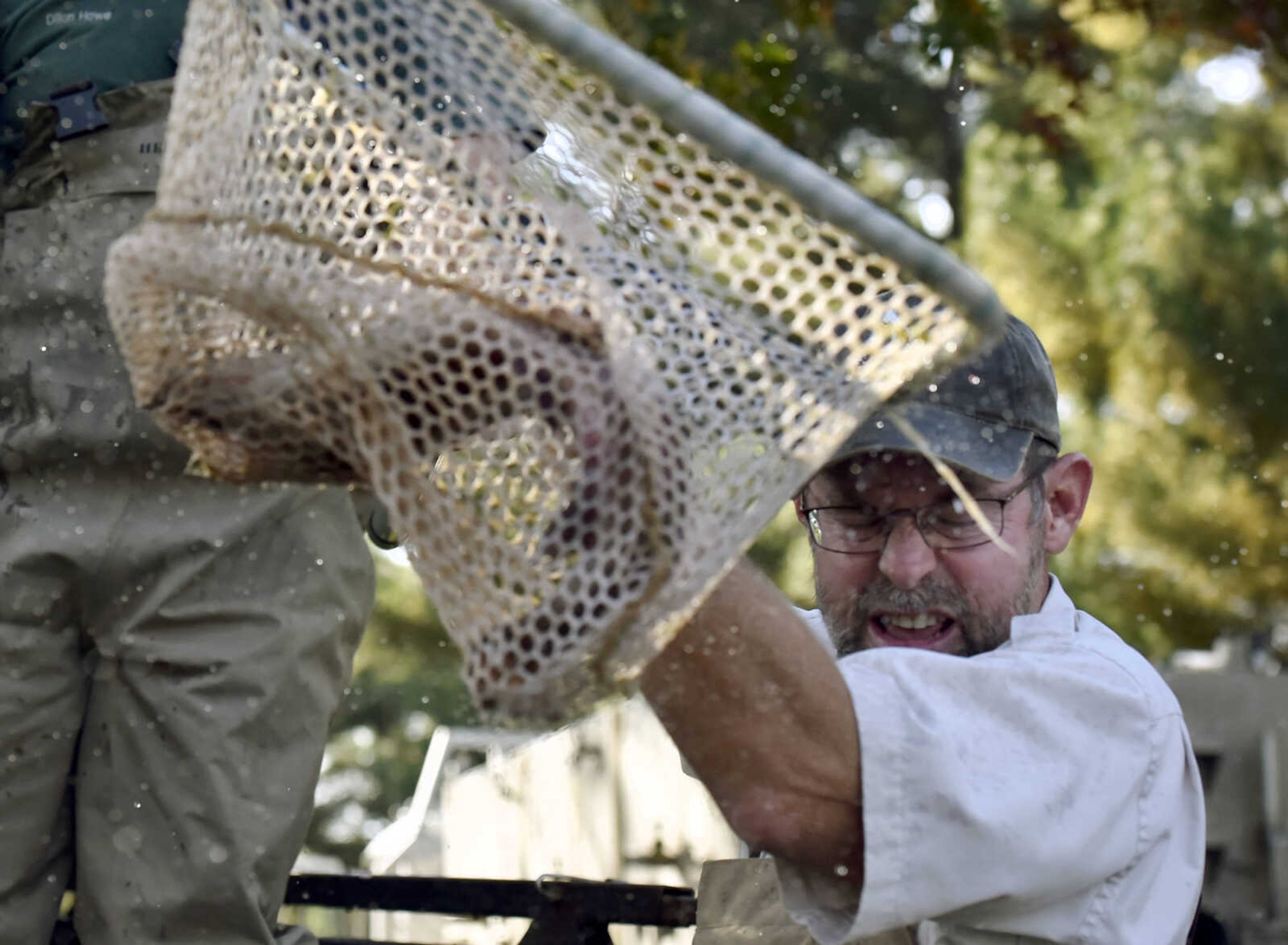 LAURA SIMON ~ lsimon@semissourian.com

Mike Reed with the Missouri Department of Conservation carries a large rainbow trout to add to Rotary Lake on Tuesday, Nov. 1, 2016, at Jackson City Park.