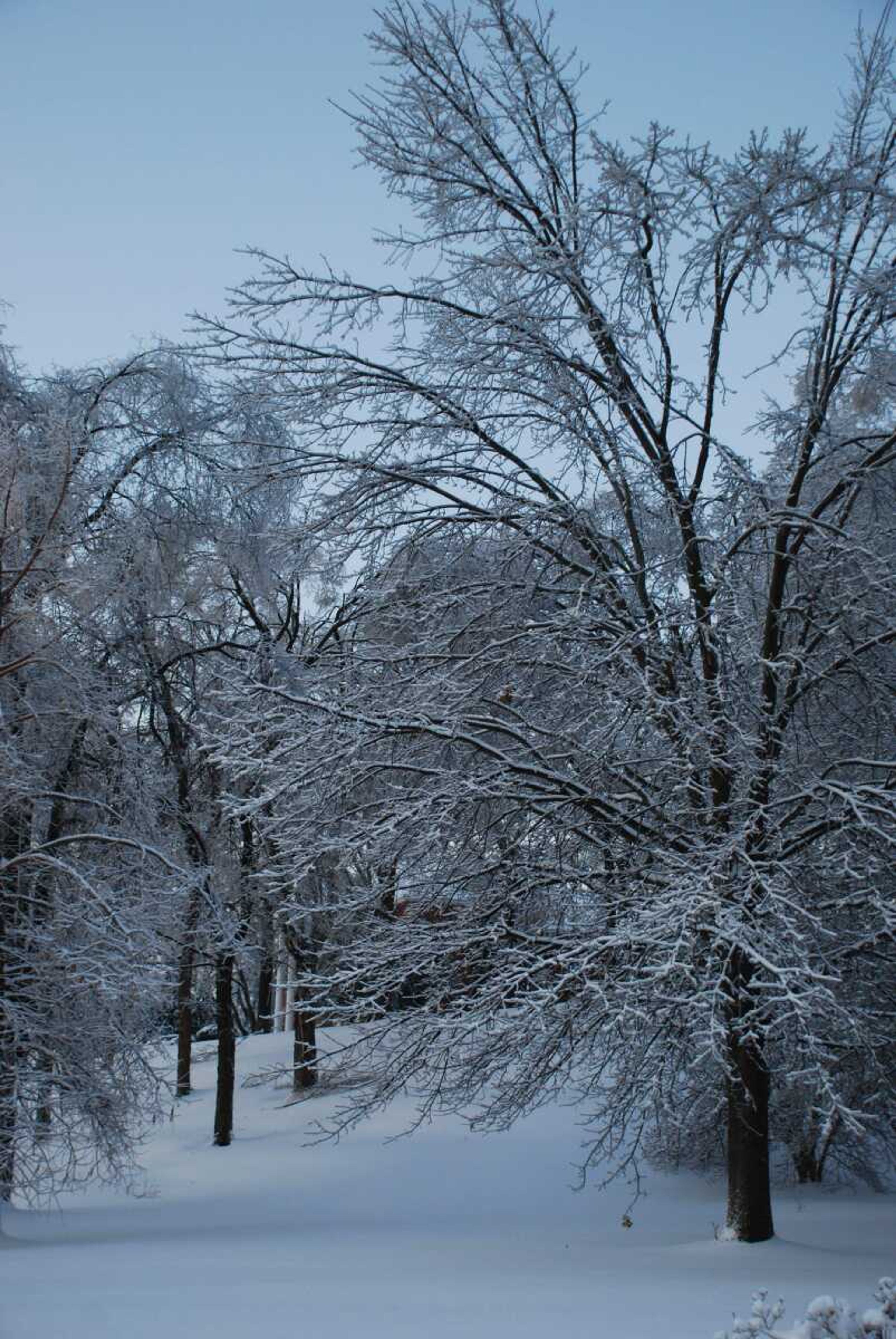 Submitted Photo by Rachel Morgan Theall
Images of downtown Cape Girardeau.