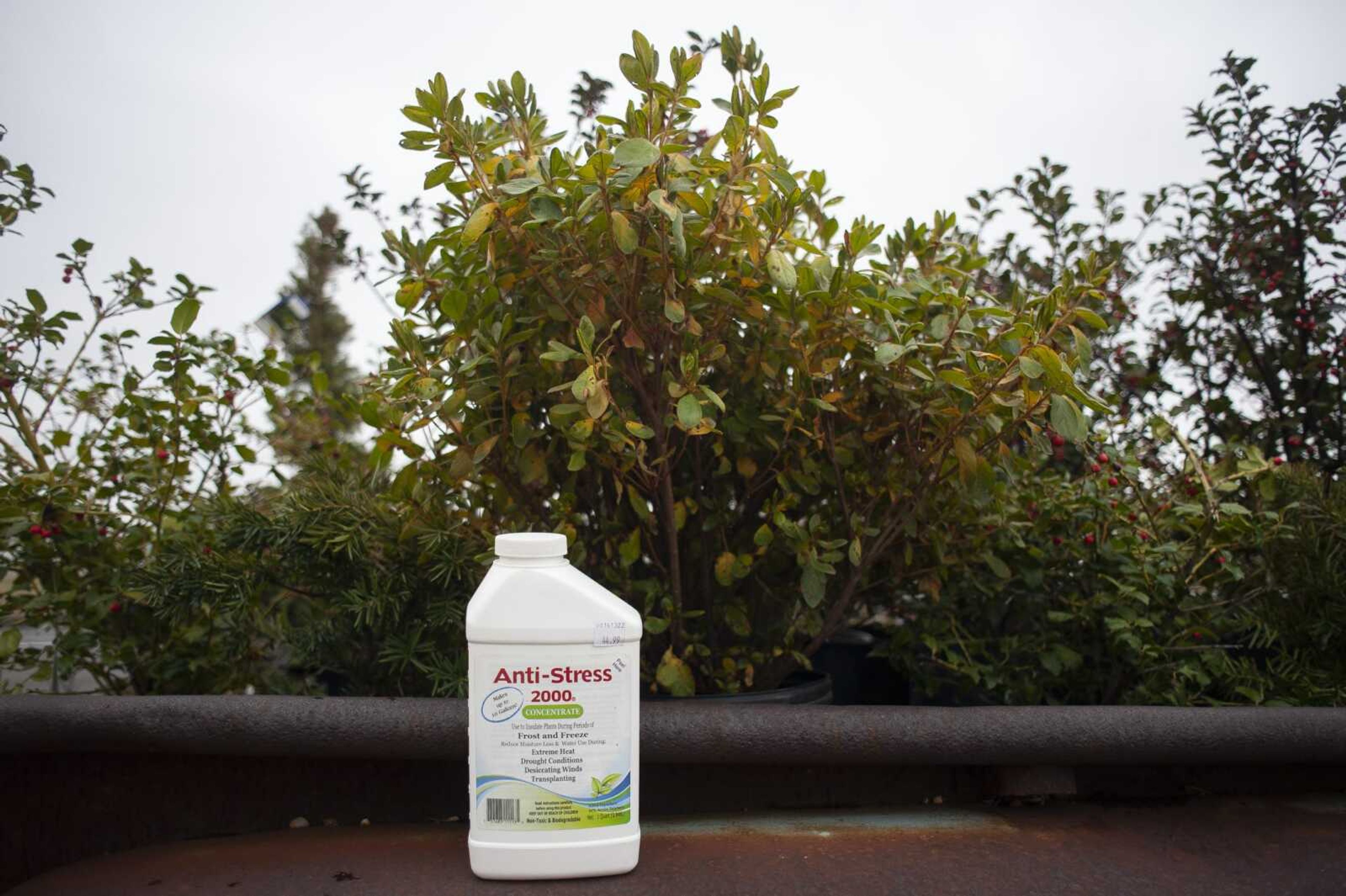 Anti-Stress 2000 is seen with a "stressed" azalea plant, in center, Nov. 22 at Sunny Hill Gardens & Florist in Cape Girardeau.