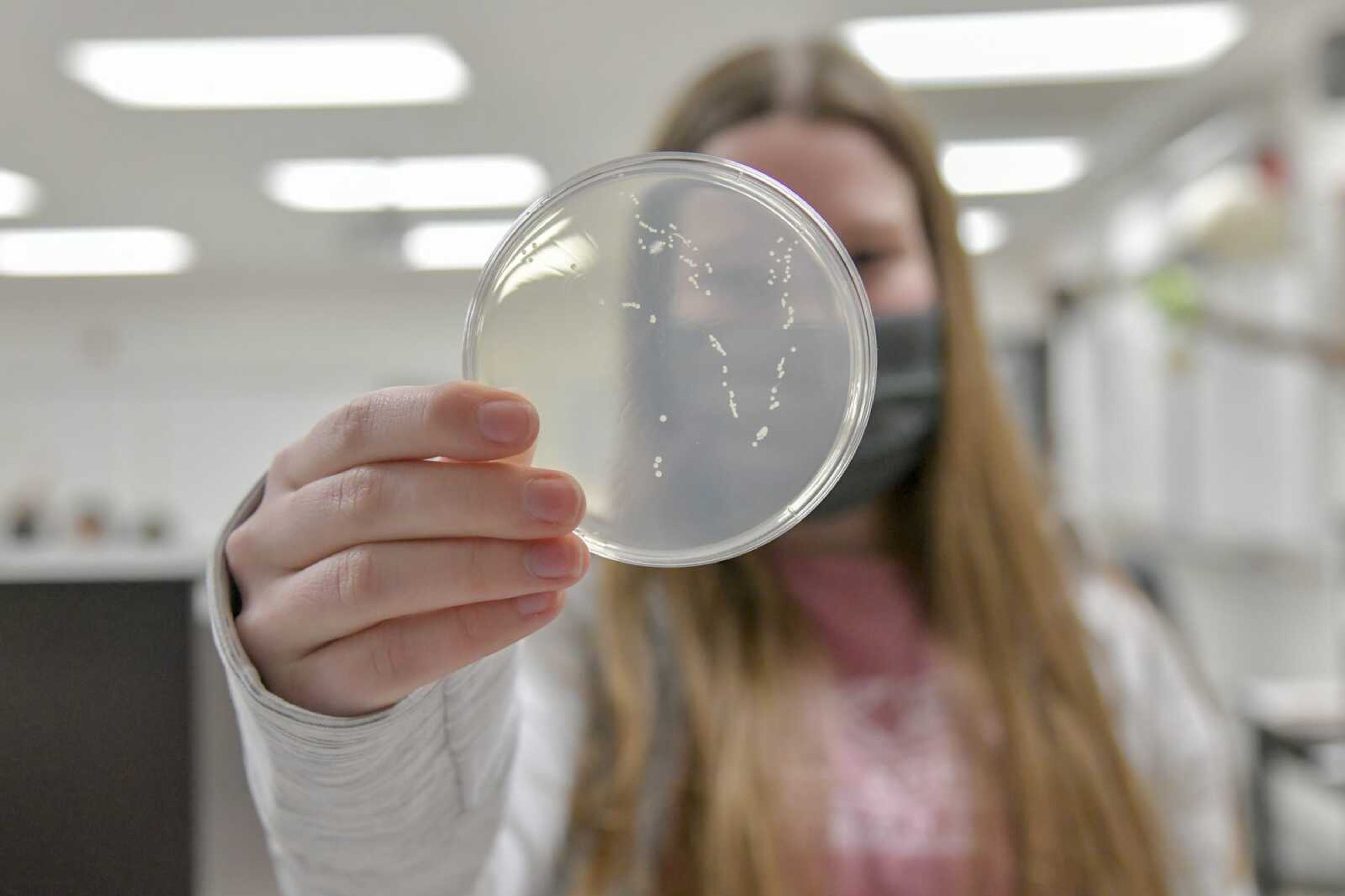 Senior Riley O Neal shows her petri-dish in which she swabbed a sample from a face mask she wore all day in order to test bacteria growth on face masks at Jackson High in Jackson on Jan. 21, 2021. Her hypothesis is that the there will be more bacteria growth on a face mask she wears the whole school day than one she only wears half of the school day.