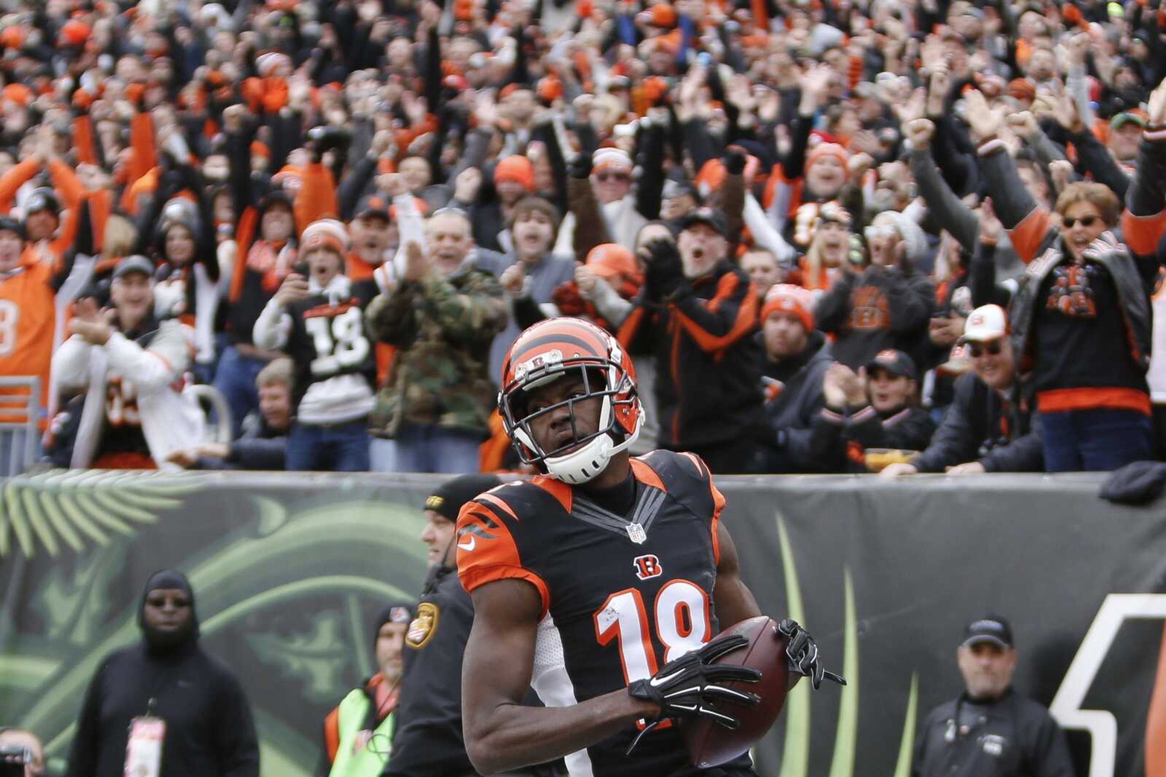 Fans cheer behind Cincinnati Bengals wide receiver Brandon Tate (19) after he scores a touchdown in the first half of a NFL football game against the St. Louis Rams, Sunday, Nov. 29, 2015, in Cincinnati. (AP Photo/Frank Victores)