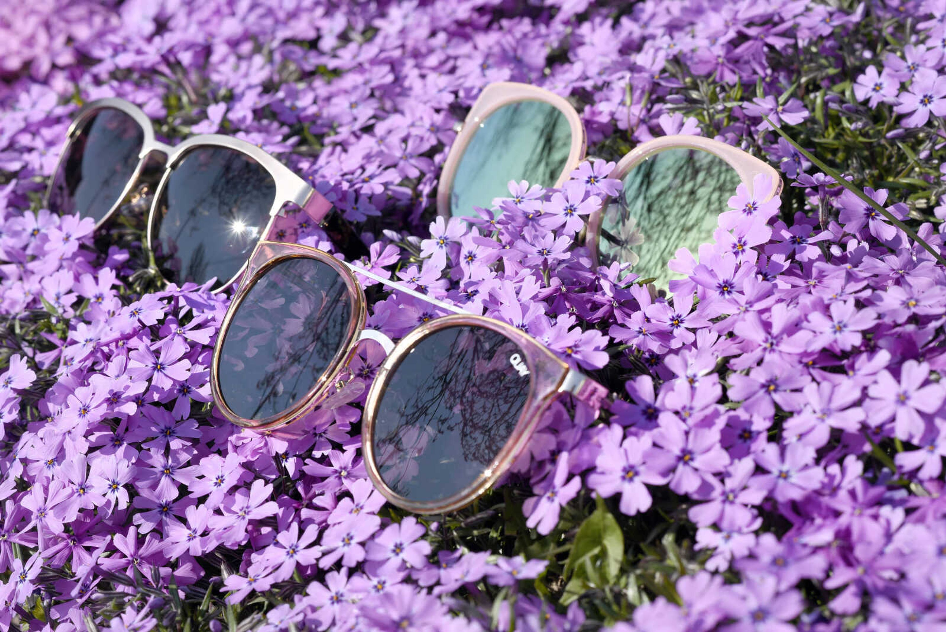 Top right: Cat-eye frames from Charlotte Russe
Left: Metal frames from Buckle
Bottom right: Translucent frames from Atelier