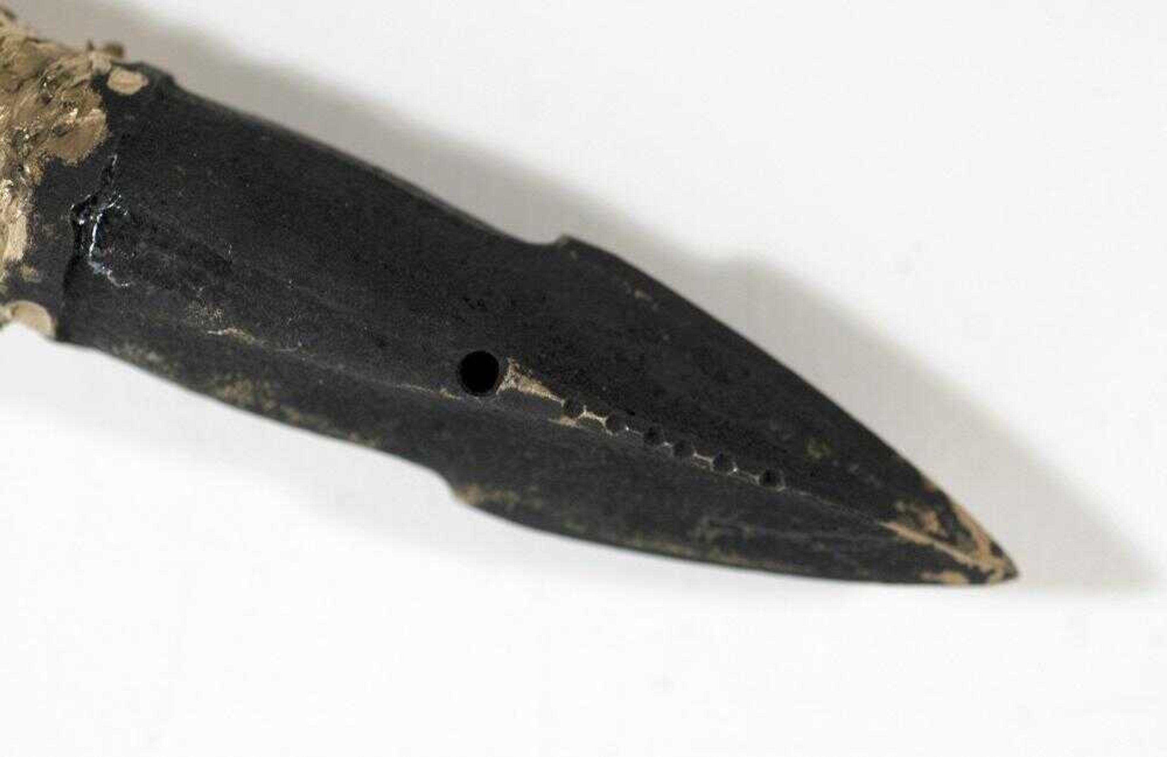 This photo shows the tip of the bomb lance fragment, patented in 1879, that was removed from the neck of a bowhead whale captured at Barrow, Alaska, in May. (New Bedford Whaling Museum)