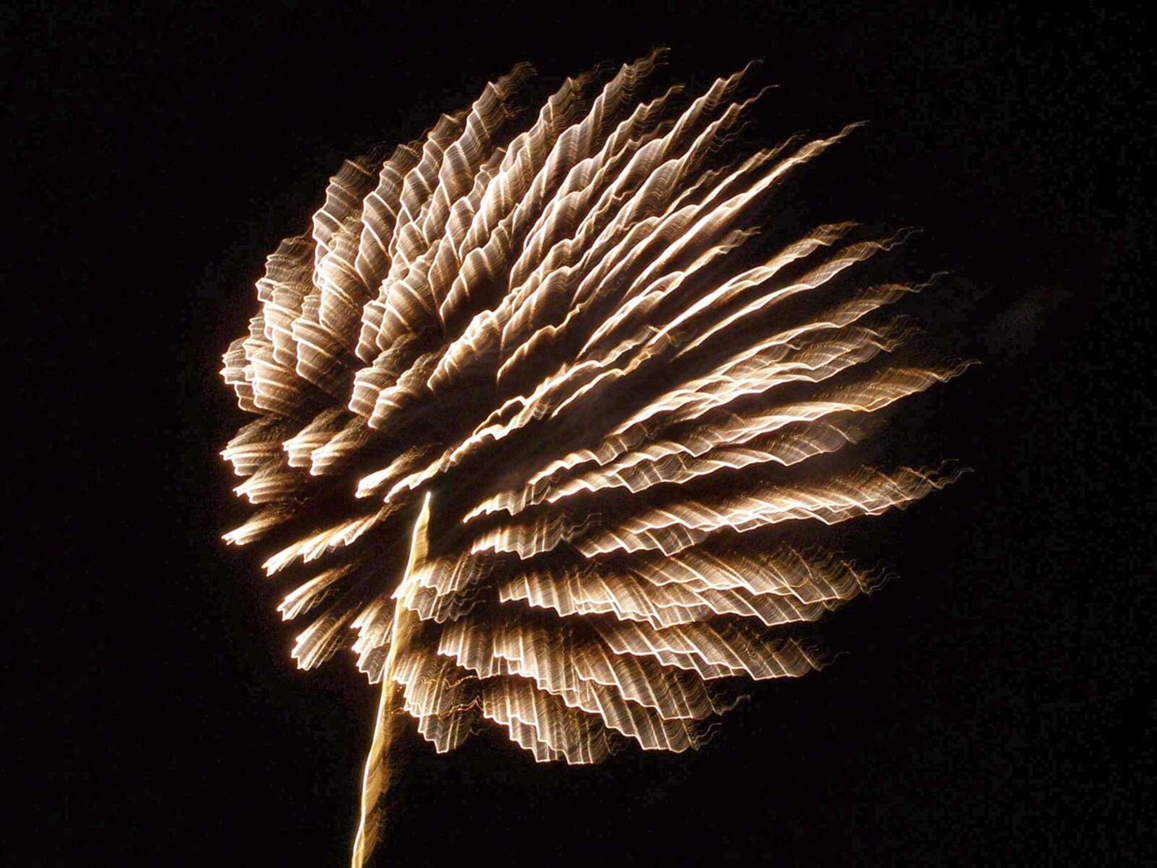 Blooming Onion