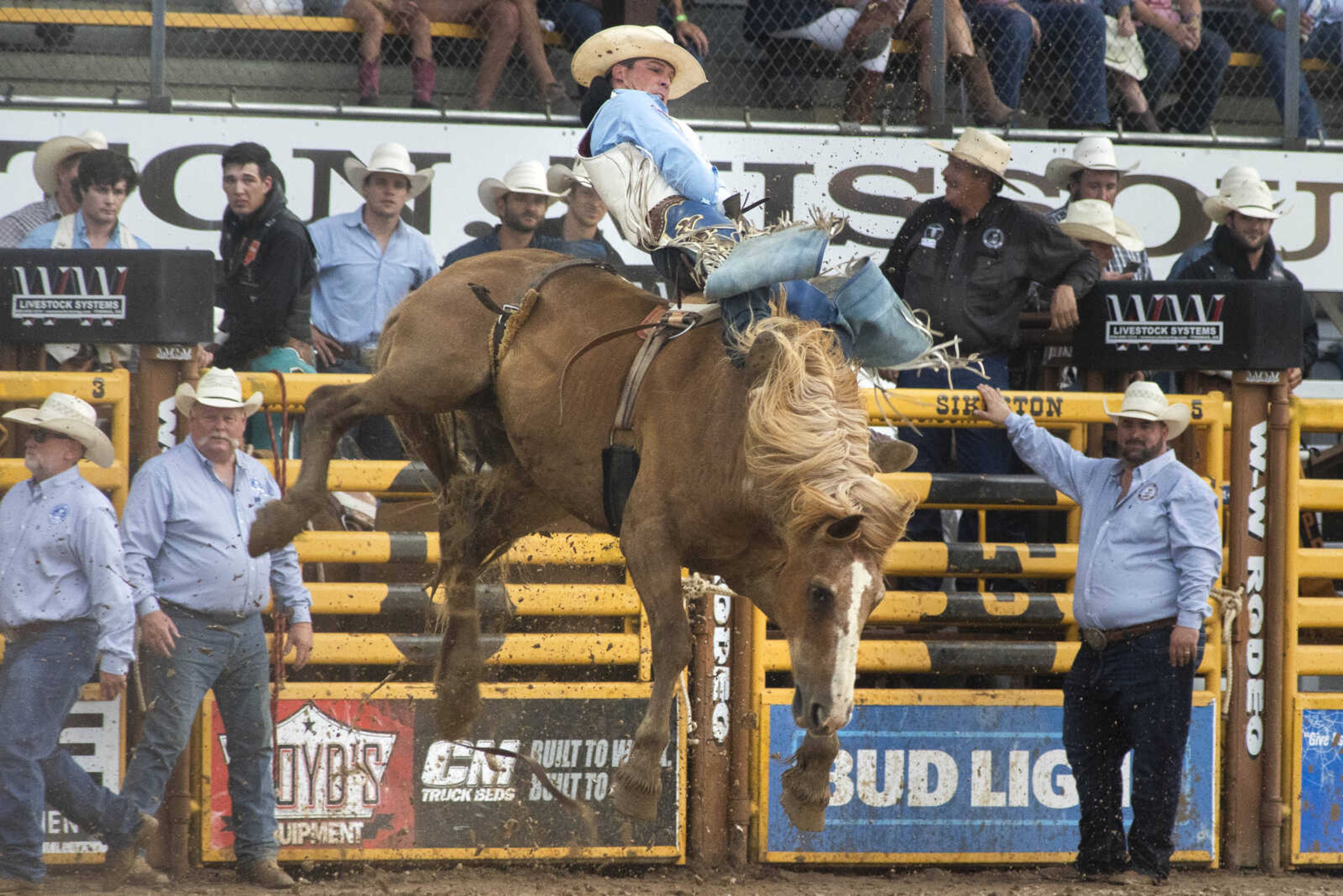 A performer hangs on during the third night of the Sikeston Jaycee Bootheel Rodeo Friday, Aug. 13, 2021,&nbsp;&nbsp;in Sikeston, Missouri.