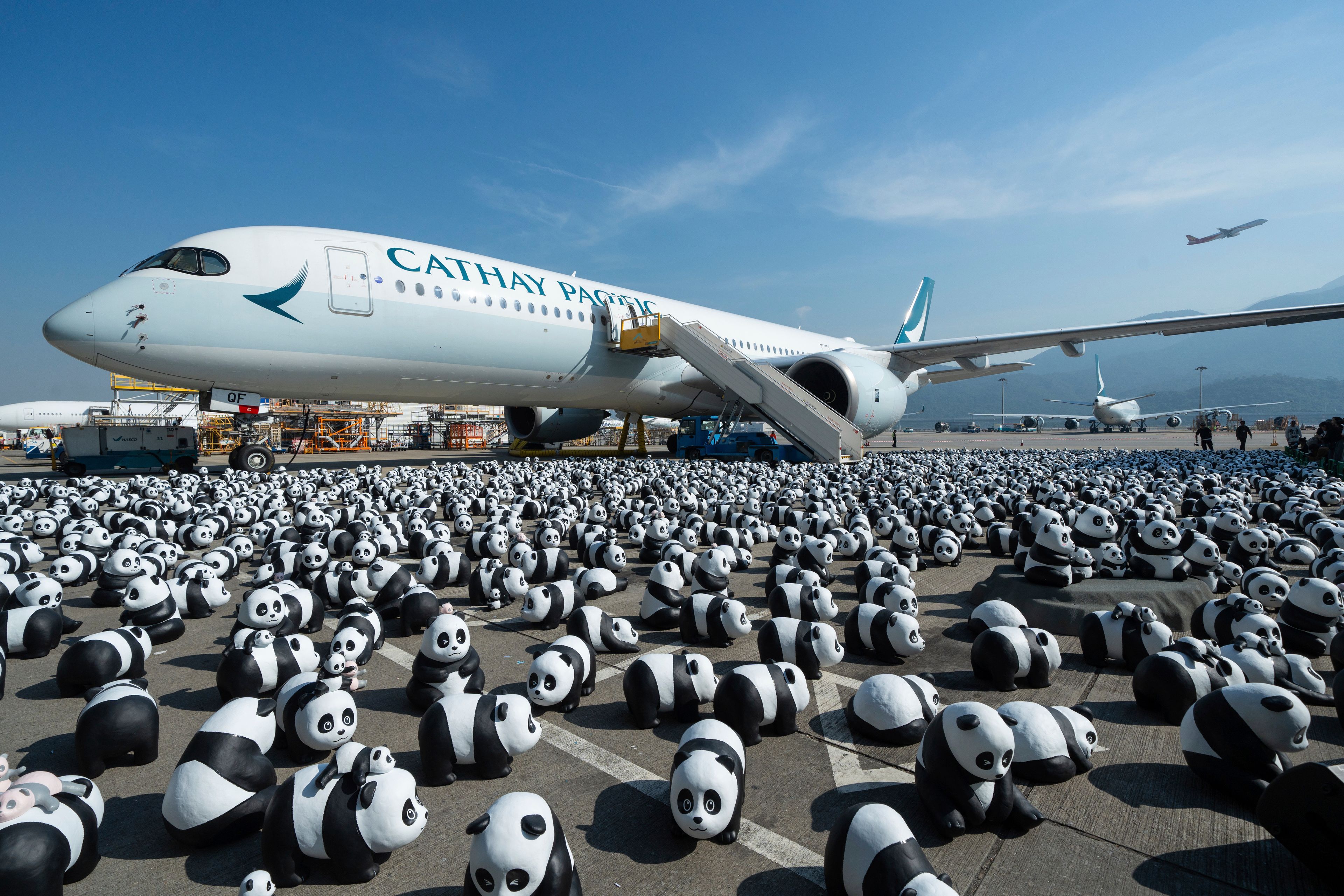 Part of 2500 panda sculptures are displayed at the Hong Kong International Airport during a welcome ceremony of the panda-themed exhibition "Panda Go!" in Hong Kong, Monday, Dec. 2, 2024. (AP Photo/Chan Long Hei)