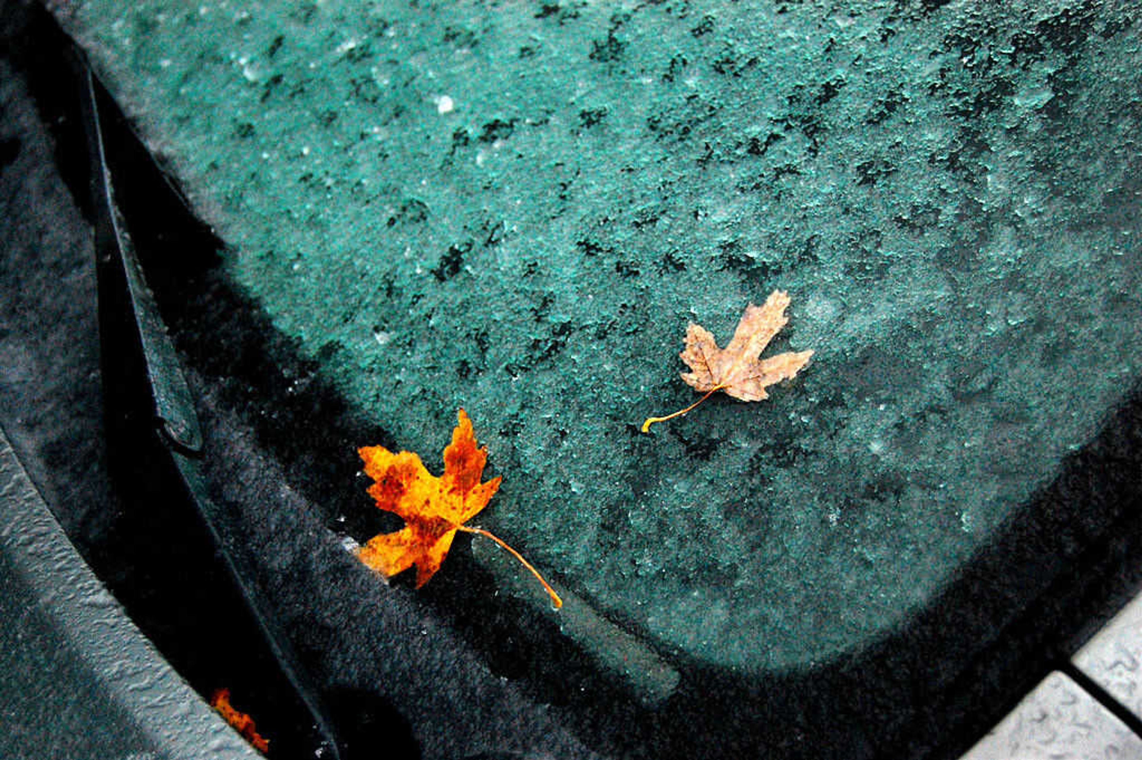 Someone littered my windshield with ice