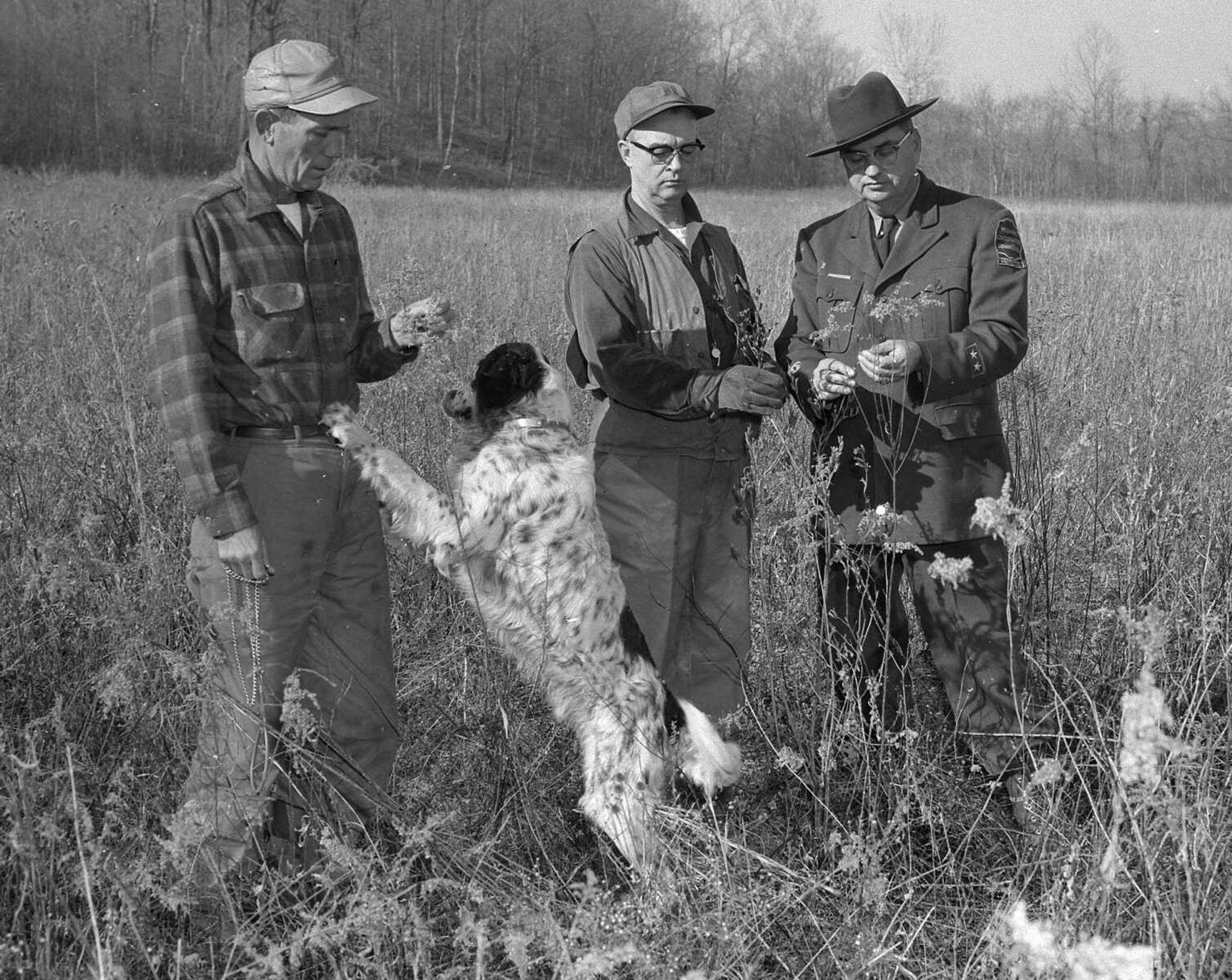 While the three men examine the plants growing in this field, the dog is demanding attention from its master. If you can provide information about this image, send librarian Sharon Sanders a note at ssanders@semissourian.com.