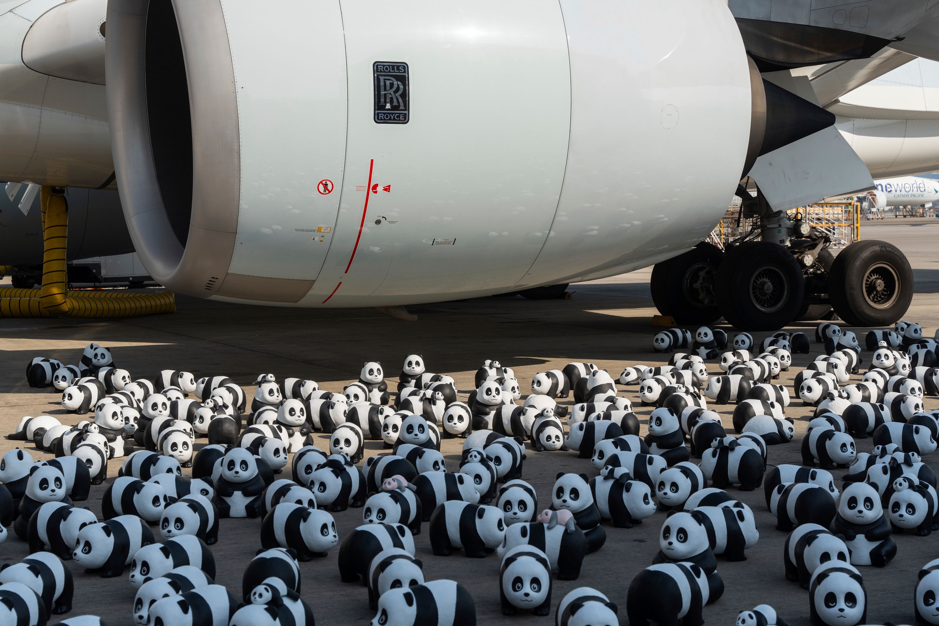 Part of 2500 panda sculptures are displayed at the Hong Kong International Airport during a welcome ceremony of the panda-themed exhibition "Panda Go!" in Hong Kong, Monday, Dec. 2, 2024. (AP Photo/Chan Long Hei)