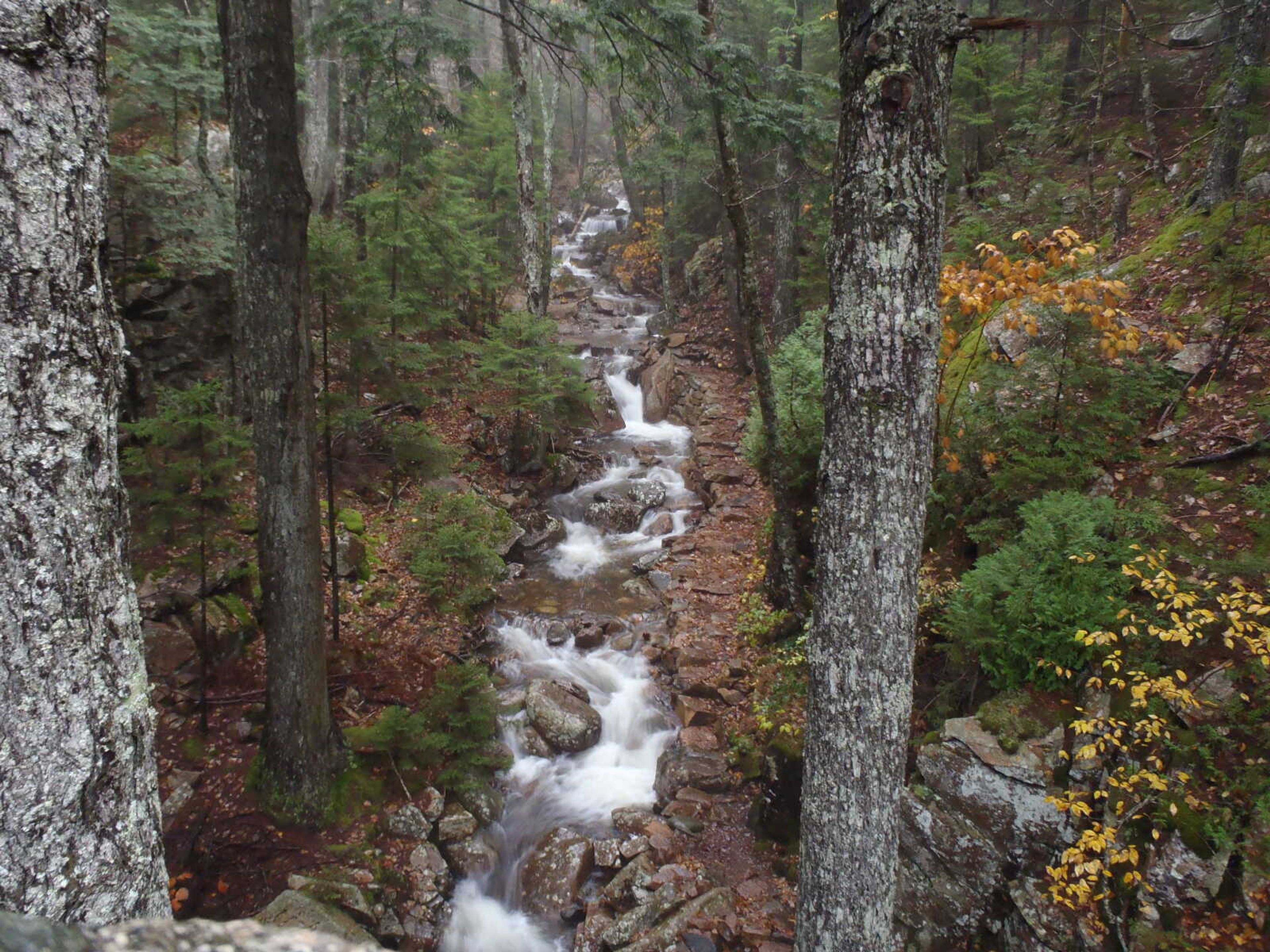 Mountain Stream