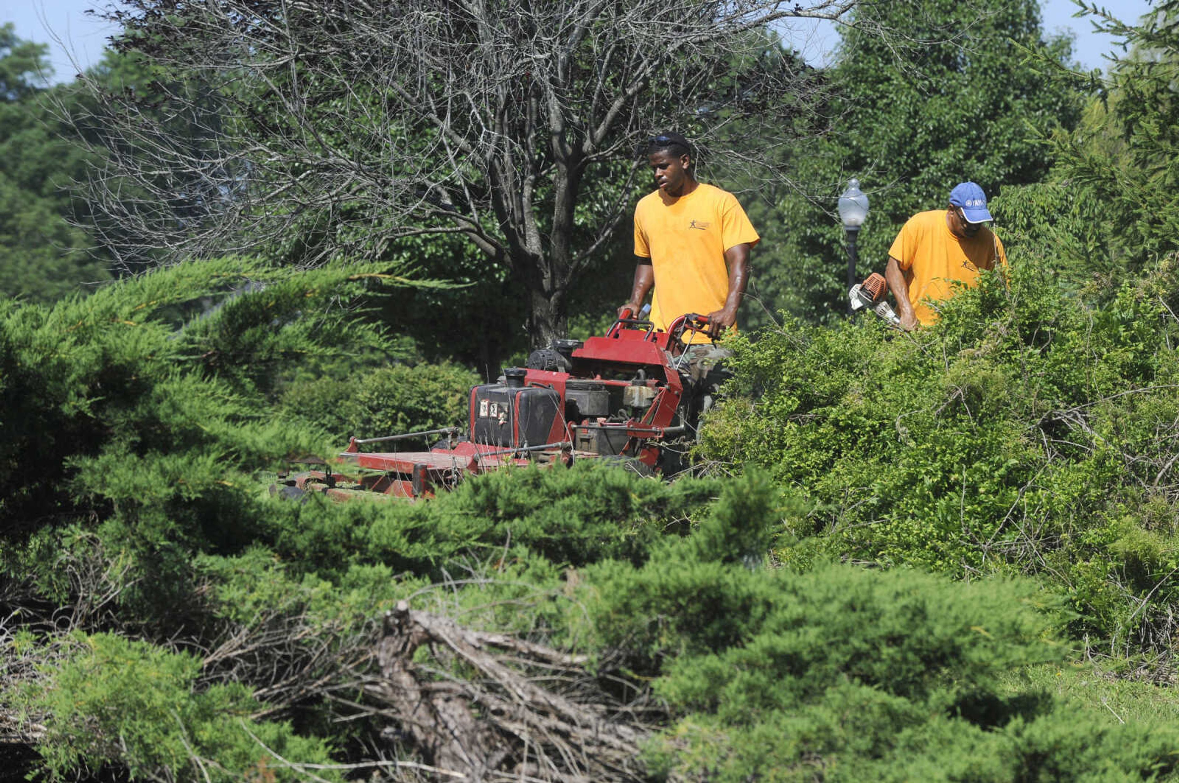 FRED LYNCH ~ flynch@semissourian.com
Latrail Glasper cuts grass as Derek Ramos trims behind him while working with a lawn crew from Adult and Teen Challenge Mid-America on Saturday, June 3, 2017 in Cape Girardeau.