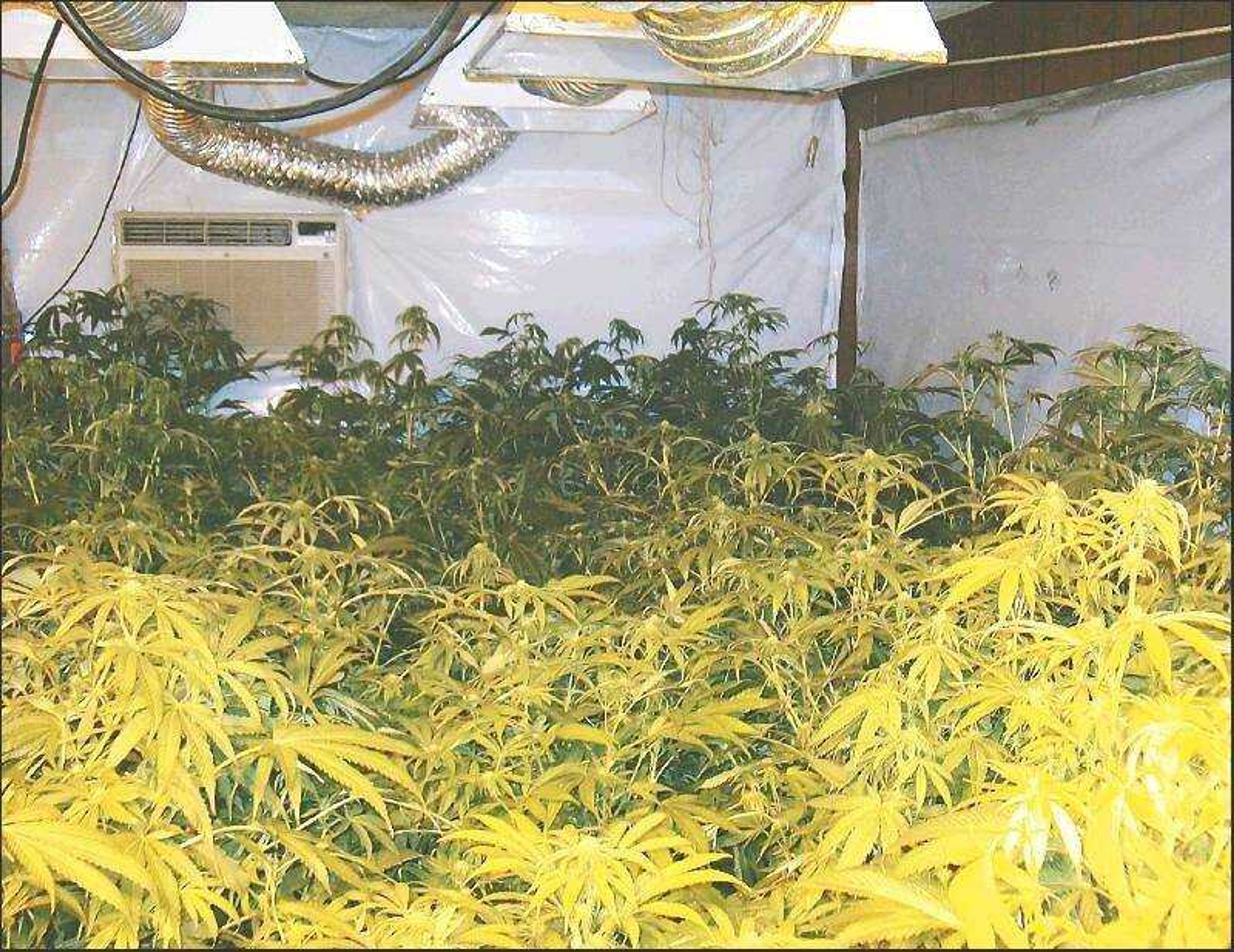 This police photo shows one of the room's in the Stoddard County home where police say two men were growing about $750,000 worth of marijuana.