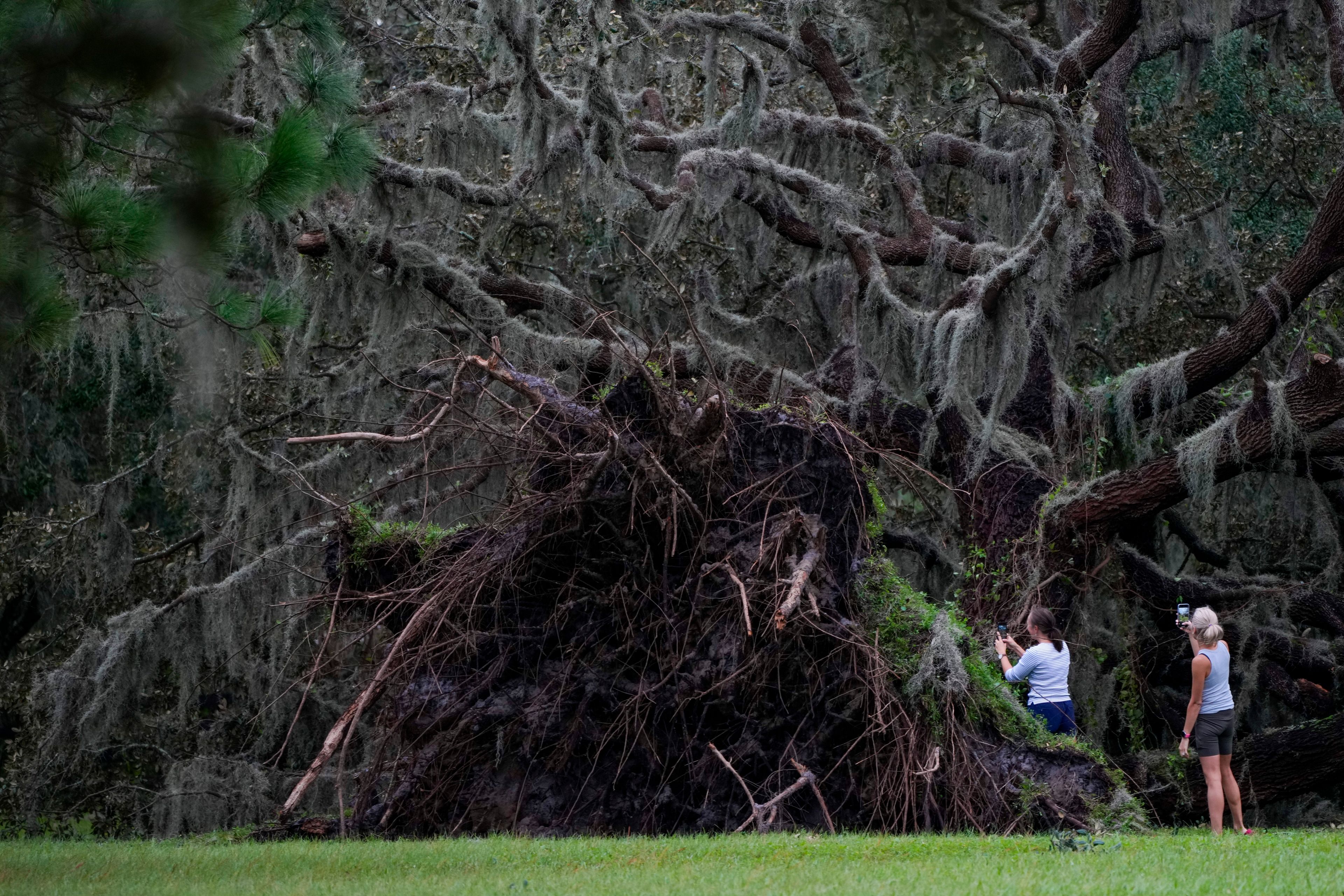 Women look at an uprooted tree the morning after Hurricane Milton hit the region, Thursday, Oct. 10, 2024, in Odessa, Fla. (AP Photo/Julio Cortez)