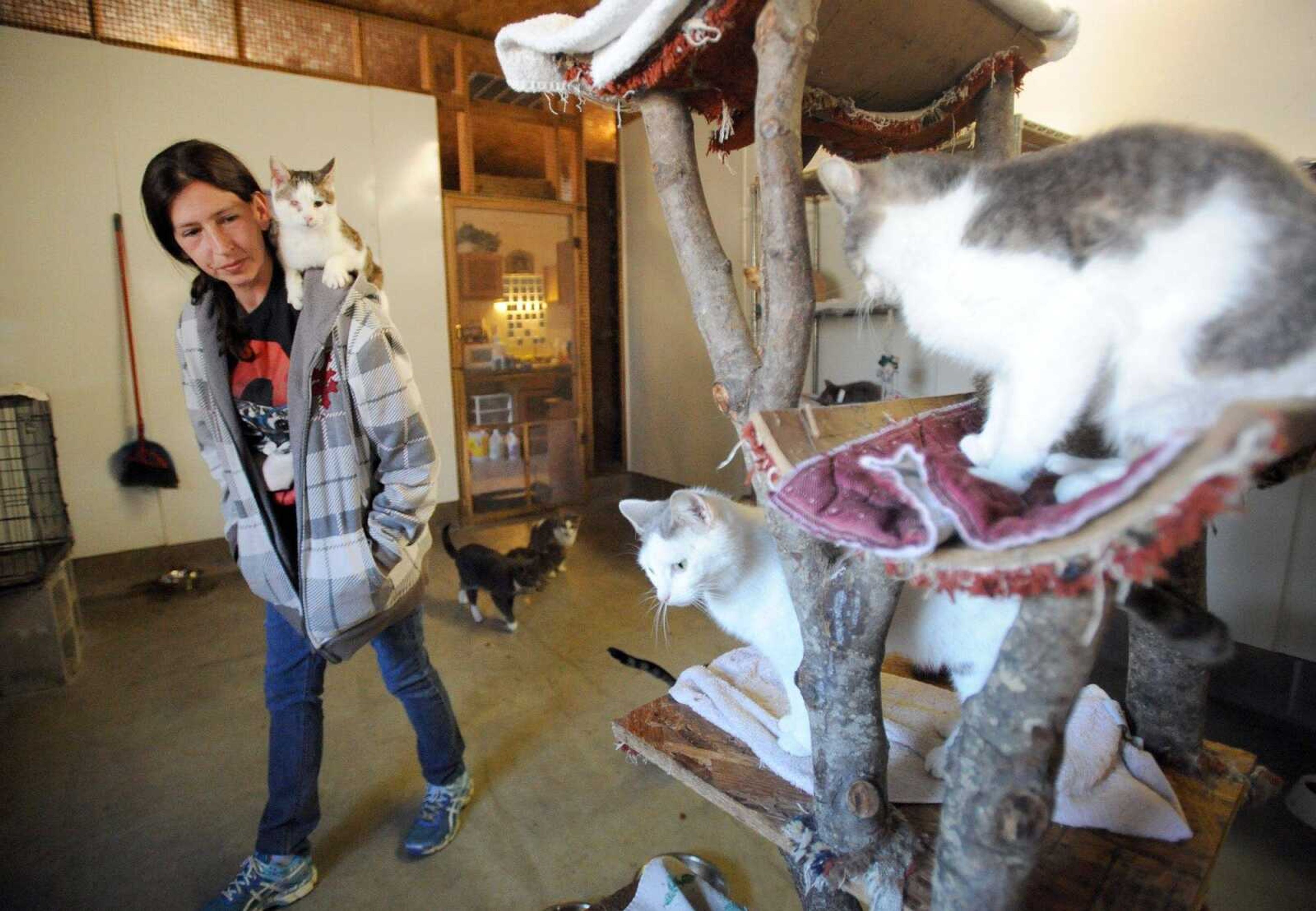 Montica Babers visits with some of the 185 cats that were living at Safe Harbor Animal Sanctuary on March 17. More than 40 of the cats were taken to other rescue facilities Saturday. (Laura Simon)