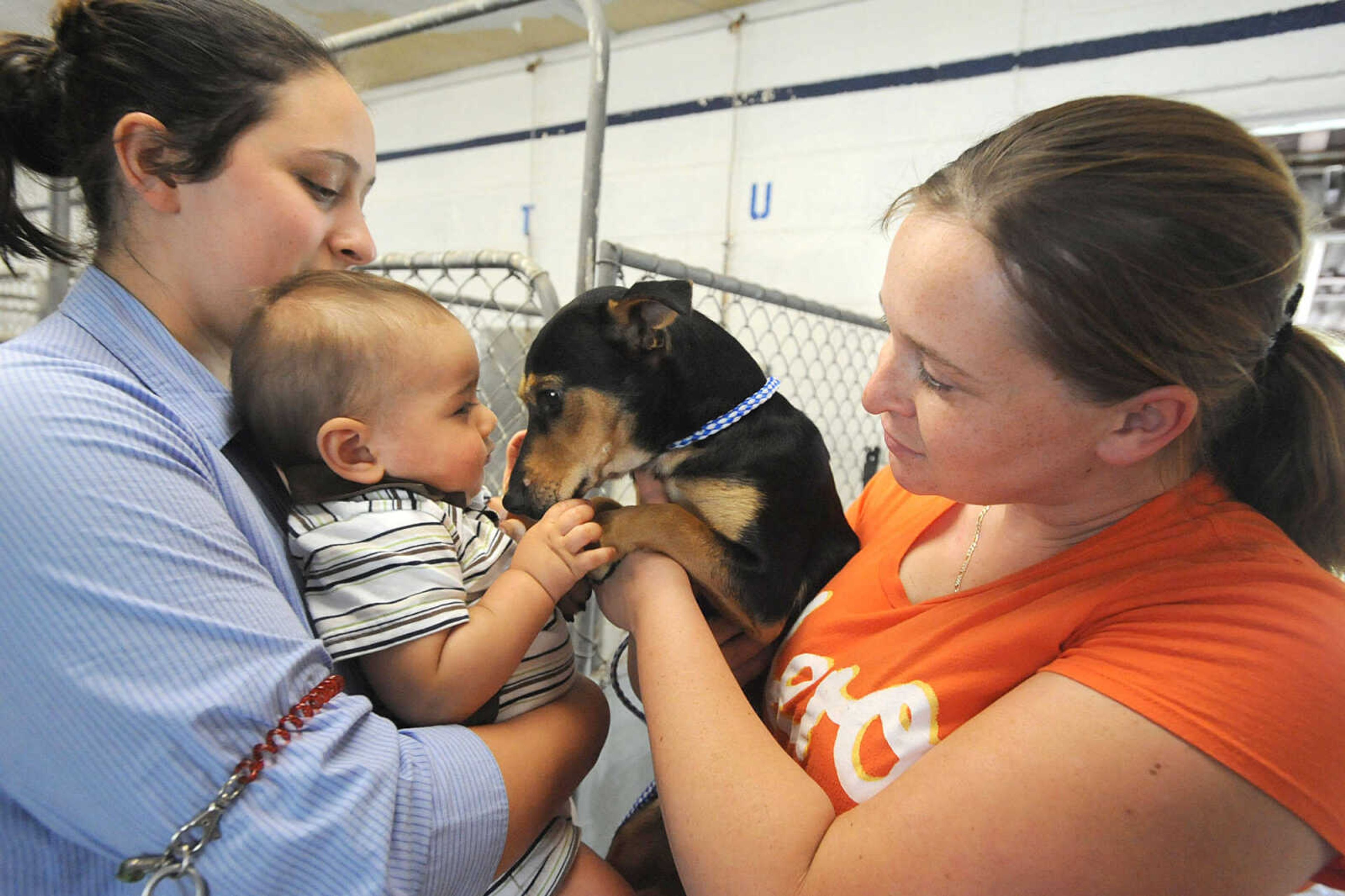 LAURA SIMON ~ lsimon@semissourian.com
Samantha Cruz Marcial, right, introduces her newly adopted dog, Bella, to her sister Tiffany Salinas, and her nephew Andrew Salinas Tuesday, May 8, 2012 at the Humane Society of Southeast Missouri. 'It's really depressing seeing all those puppies back there,' said Marcial.