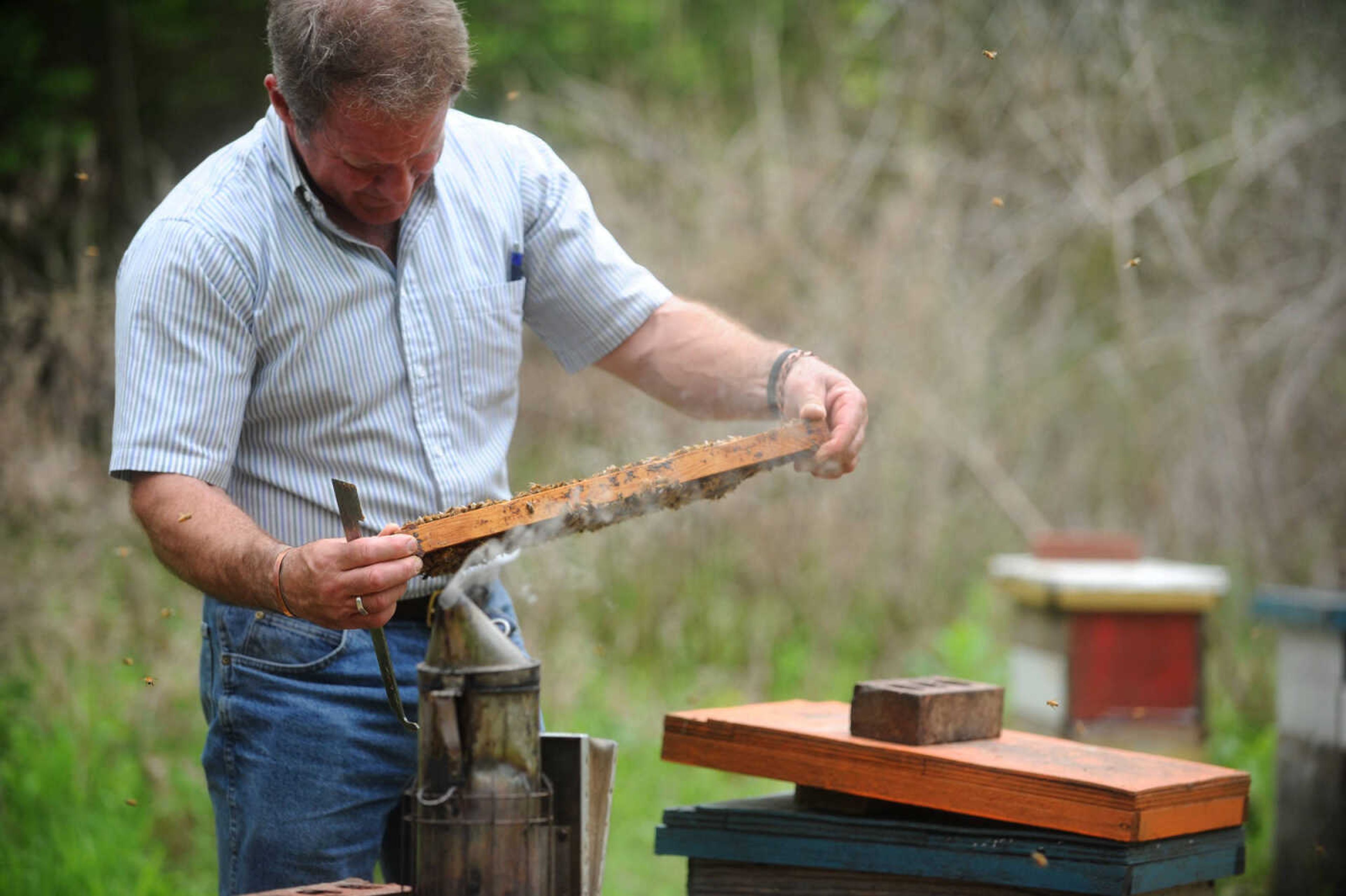 LAURA SIMON ~ lsimon@semissourian.com

Grant Gilliard checks on his beehives in Cape Girardeau County.