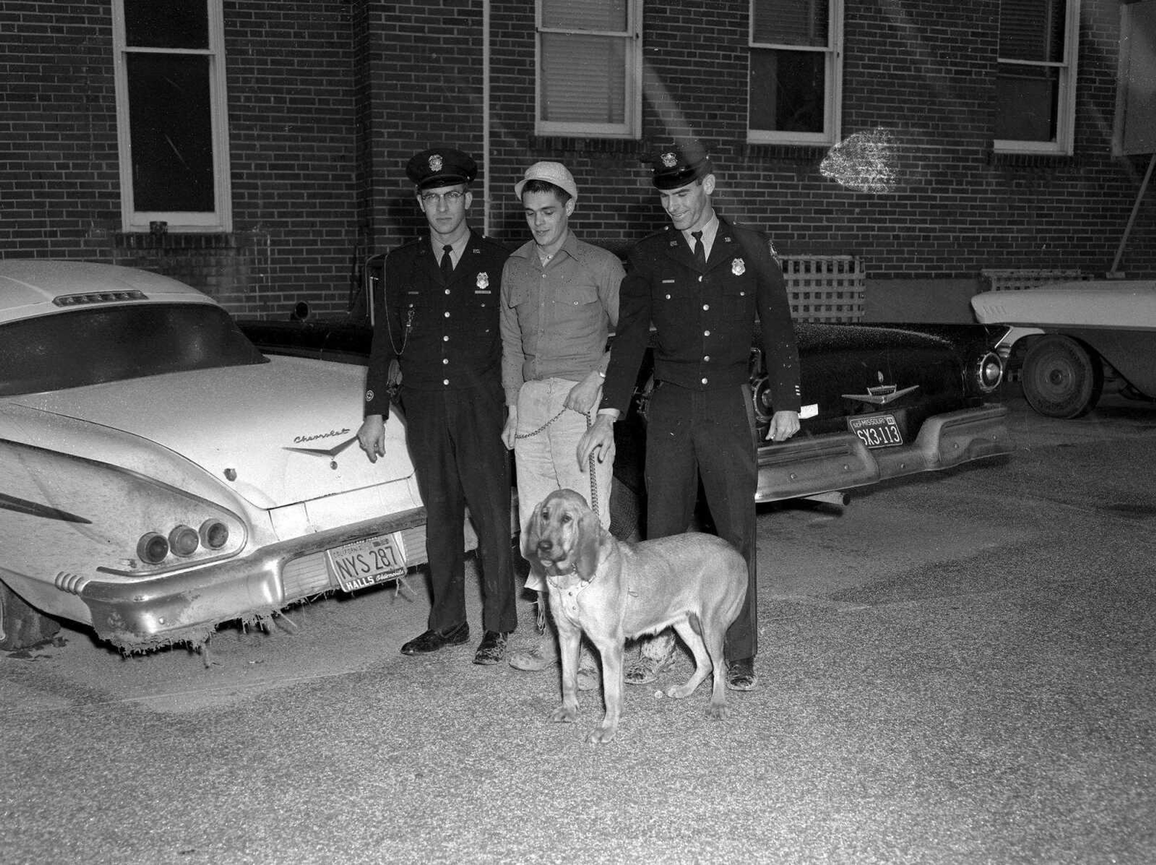 SOUTHEAST MISSOURIAN ~ photos@semissourian.com
Cape Girardeau police department bloodhound