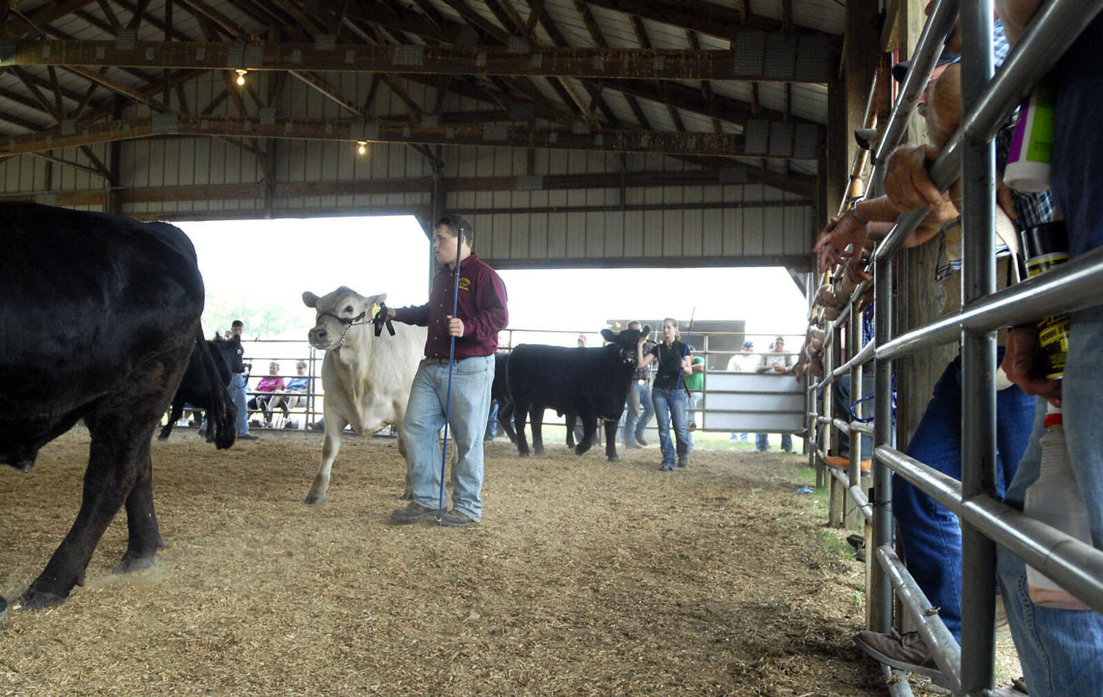 KRISTIN EBERTS ~ keberts@semissourian.com

Jacob Buell, center, and Logan Birk, right, lead their steers around the arena during Class 3 steer judging at the Livestock Show Arena during the 155th SEMO District Fair on Wednesday, Sept. 15, 2010, at Arena Park in Cape Girardeau.