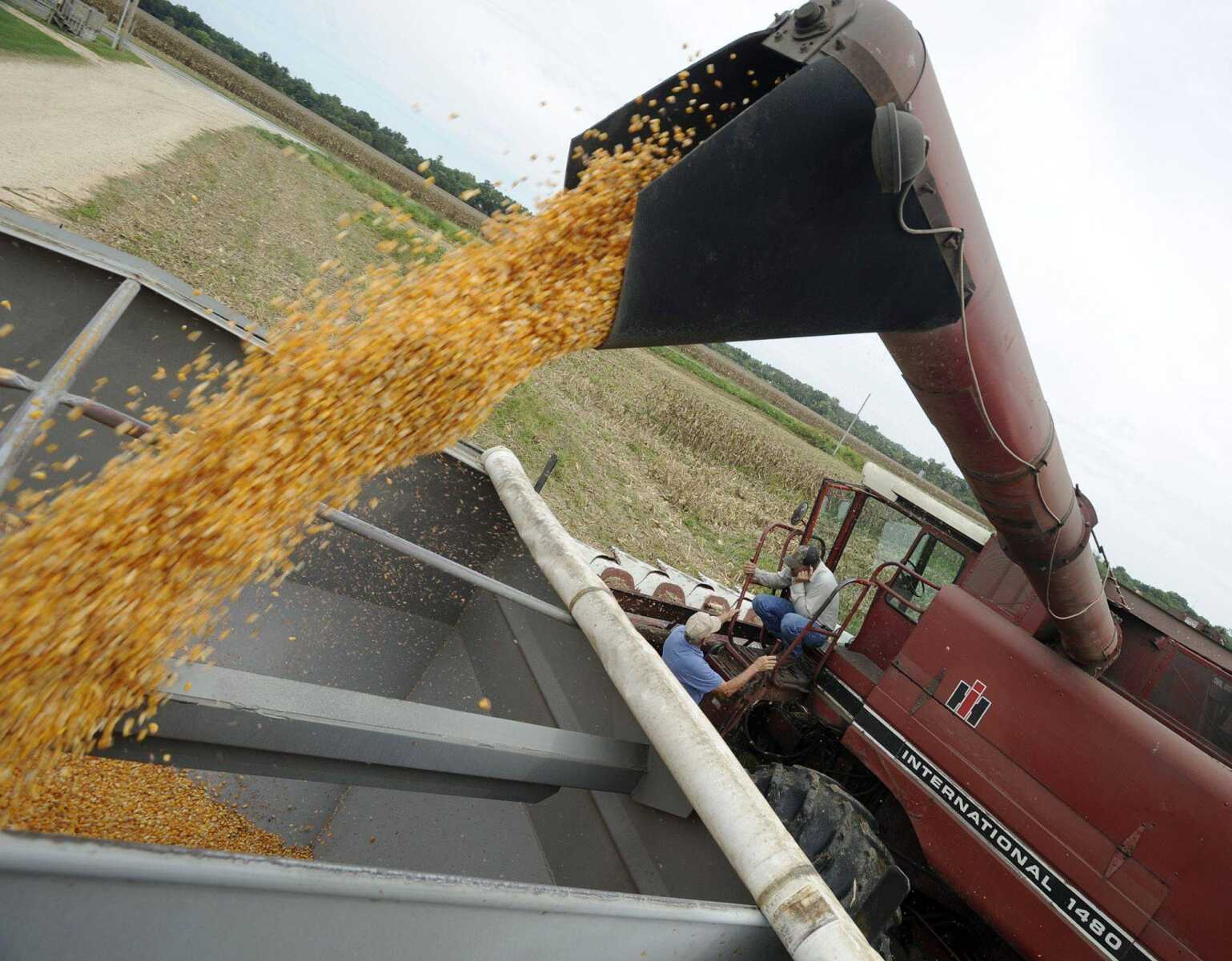 Corn is unloaded in the field Tuesday, Sept. 14, 2010 at Lorberg Farms near Gordonville, Mo. (Fred Lynch)