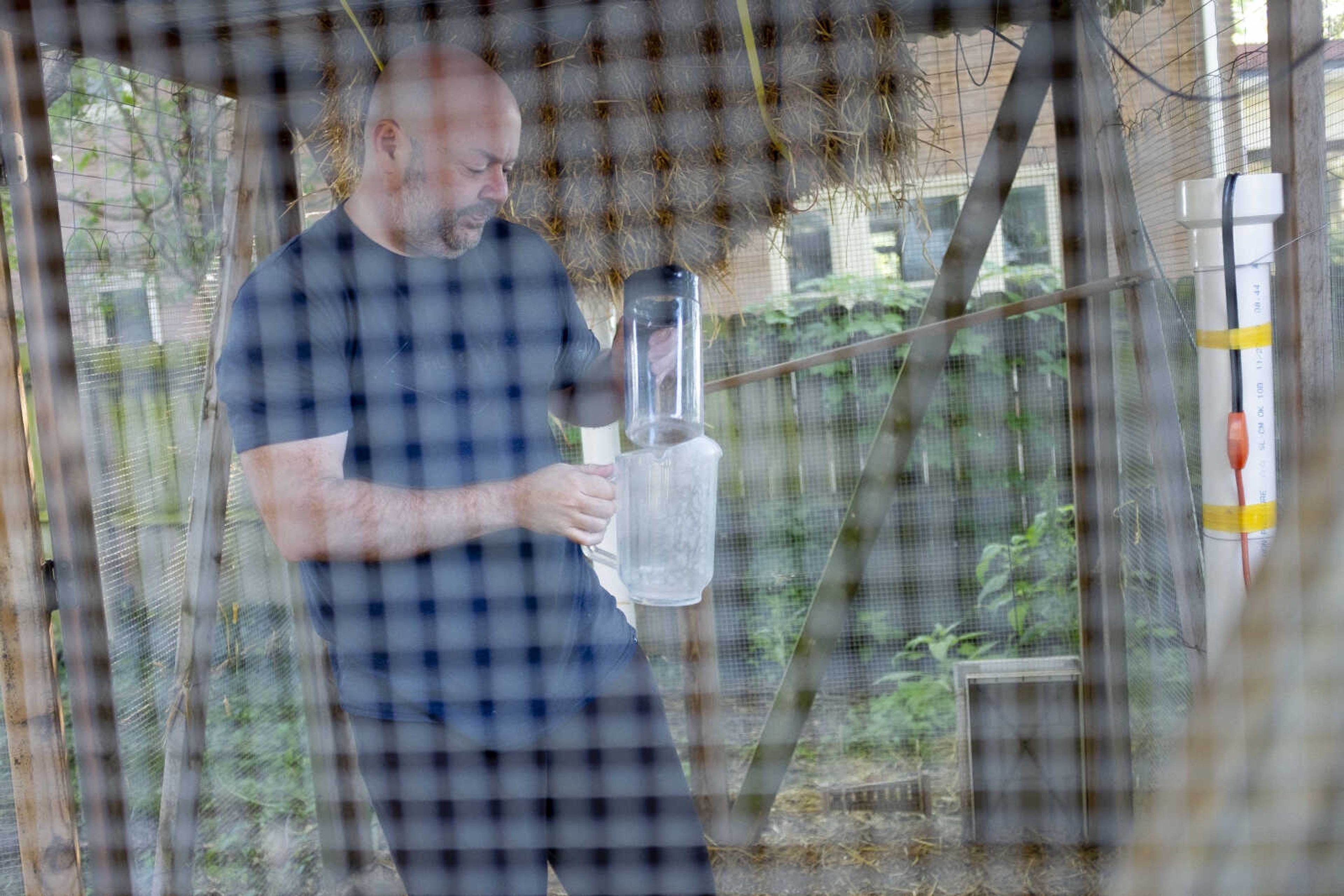 Andrew Bard of Cape Girardeau tends to his chickens Saturday, May 30, 2020, at his home in Cape Girardeau.