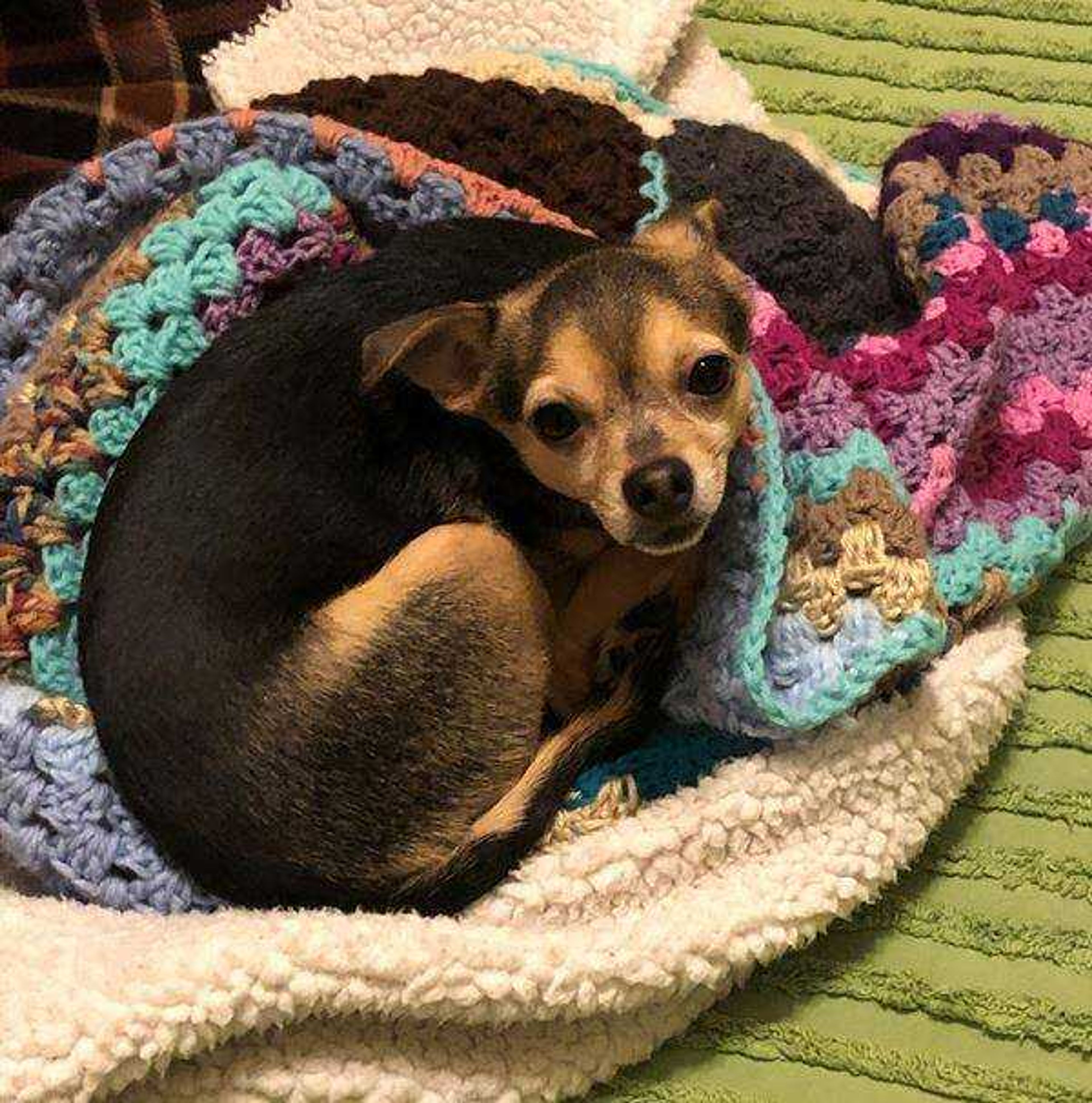 Crochet Snuggler&nbsp; -&nbsp; I just know you made this afghan for me!