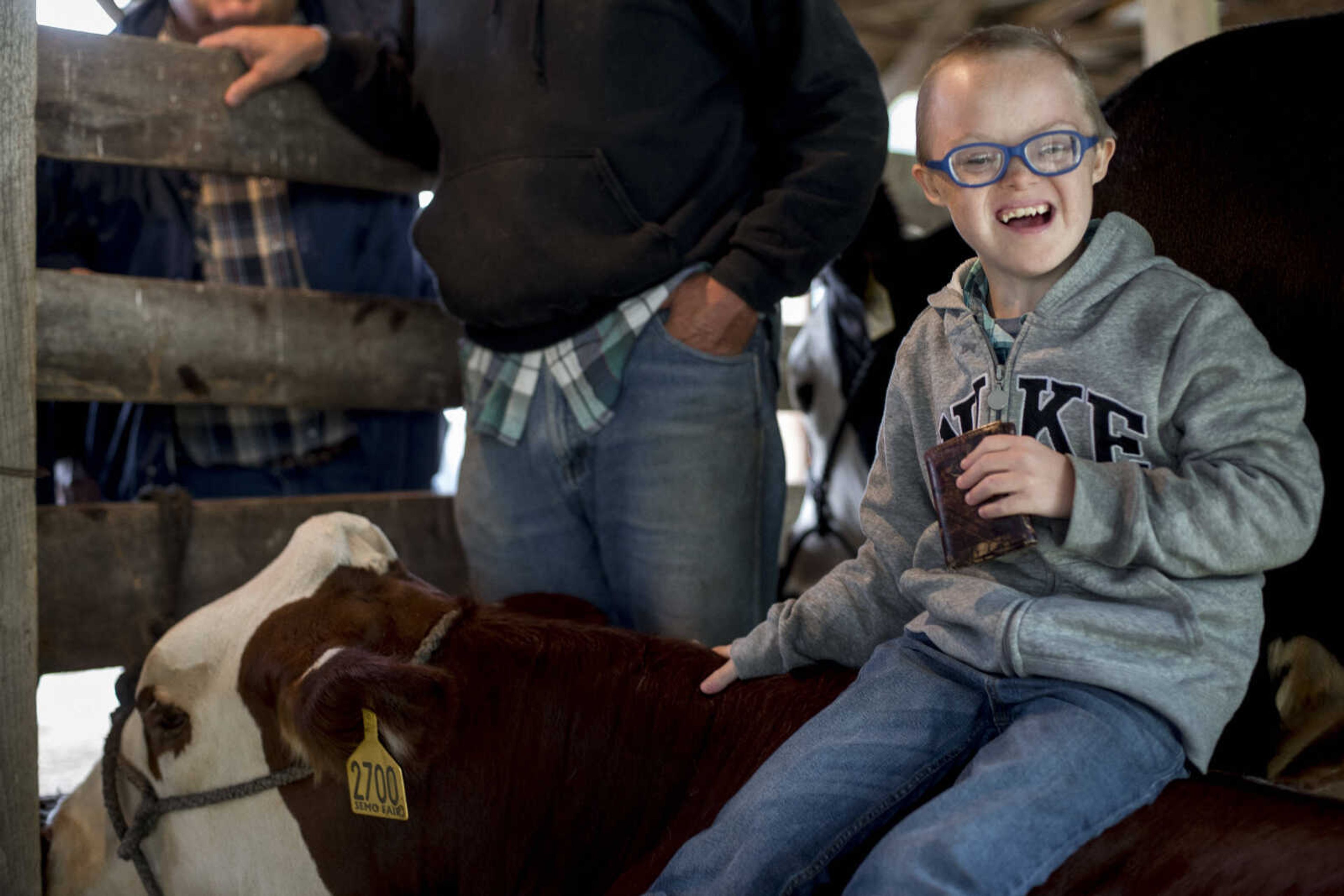 Dalton Lohmann, 10, sits on his 1,300-pound steer, Marshall, during the East Perry County Fair Saturday.