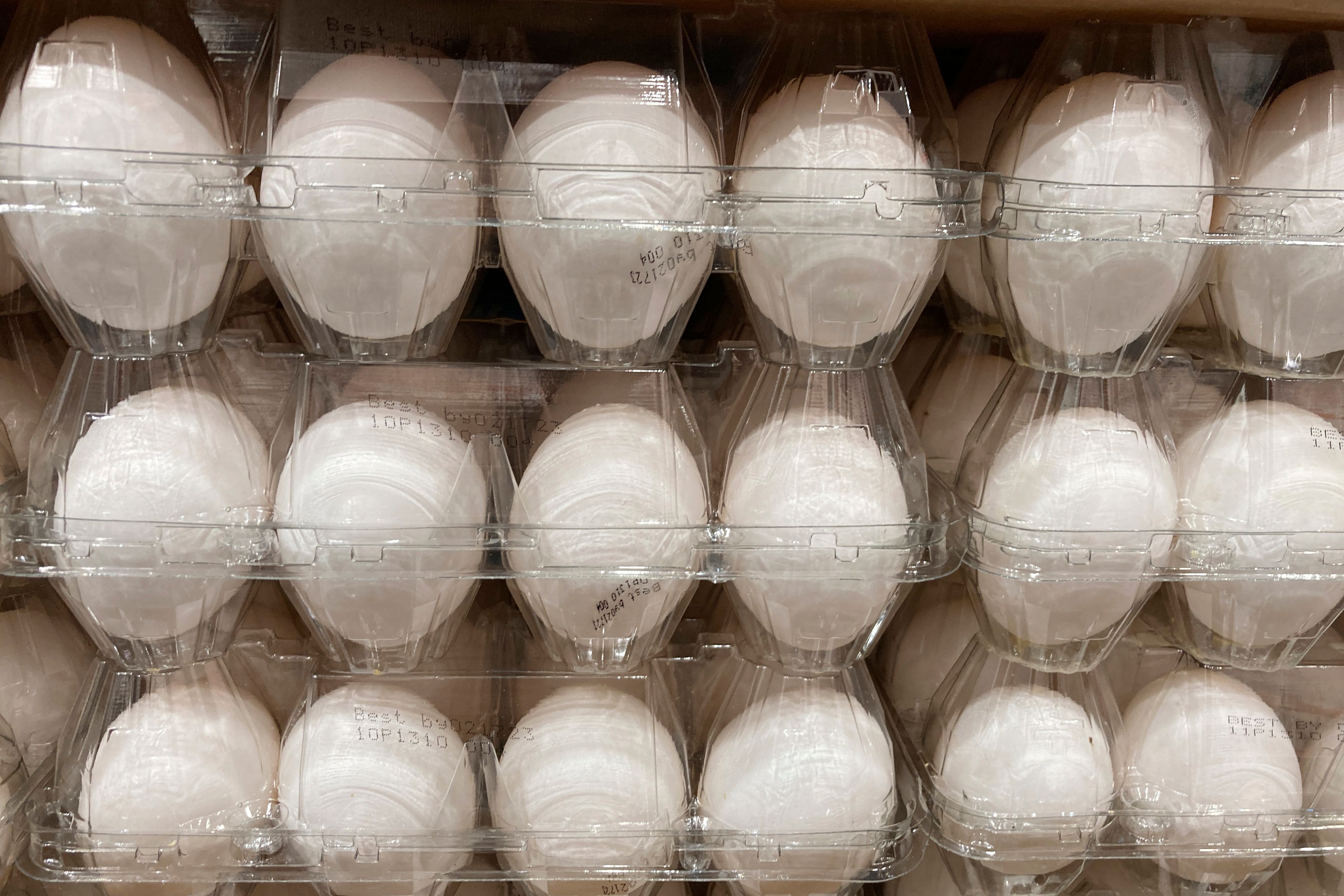 FILE - Cartons of eggs are shown for sale, on Jan. 17, 2023, in North Miami, Fla. (AP Photo/Wilfredo Lee, File)