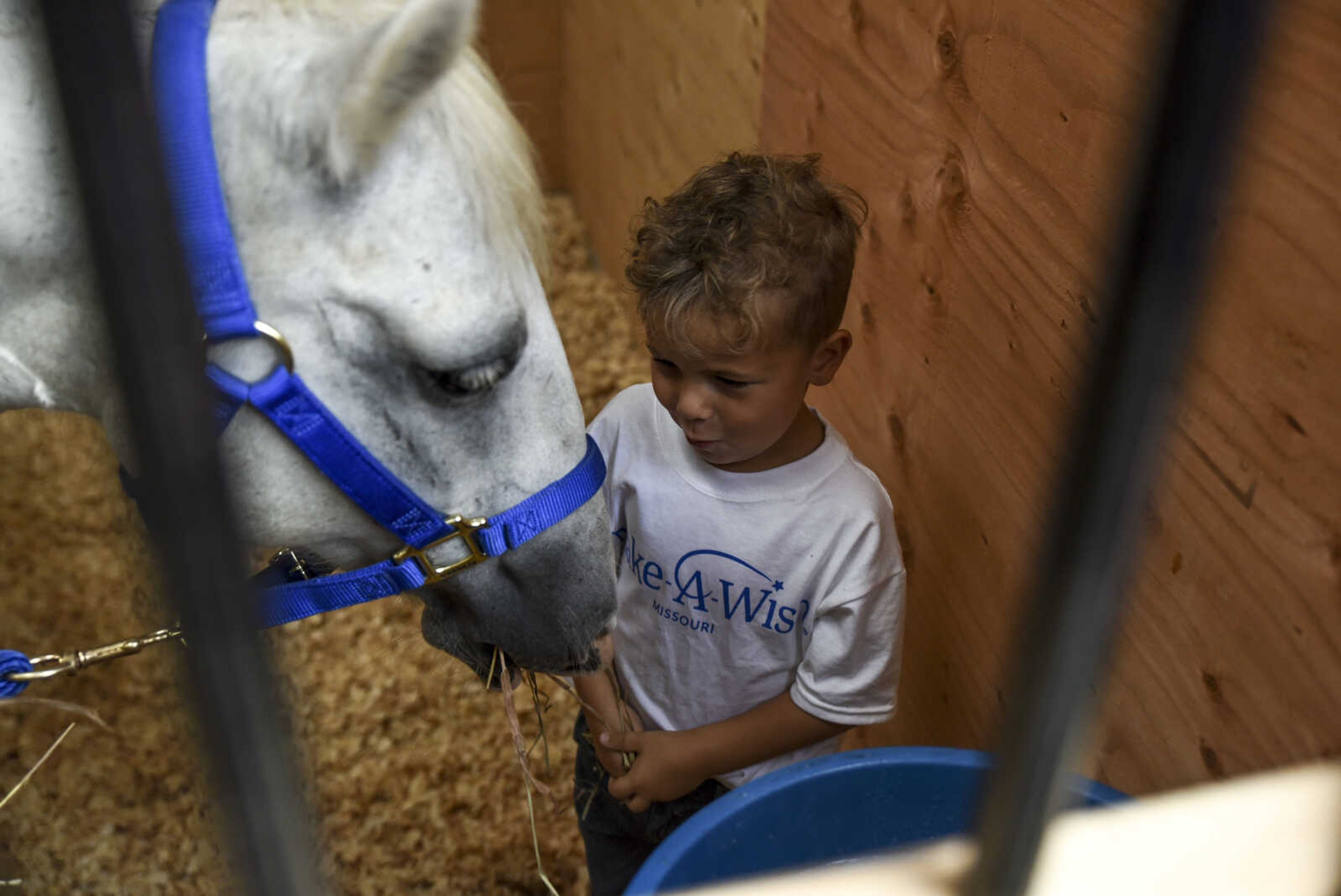 Nate Prichard, 5, shares a moment with his new horse Silver Monday, July 30, 2018 in&nbsp;Burfordville.