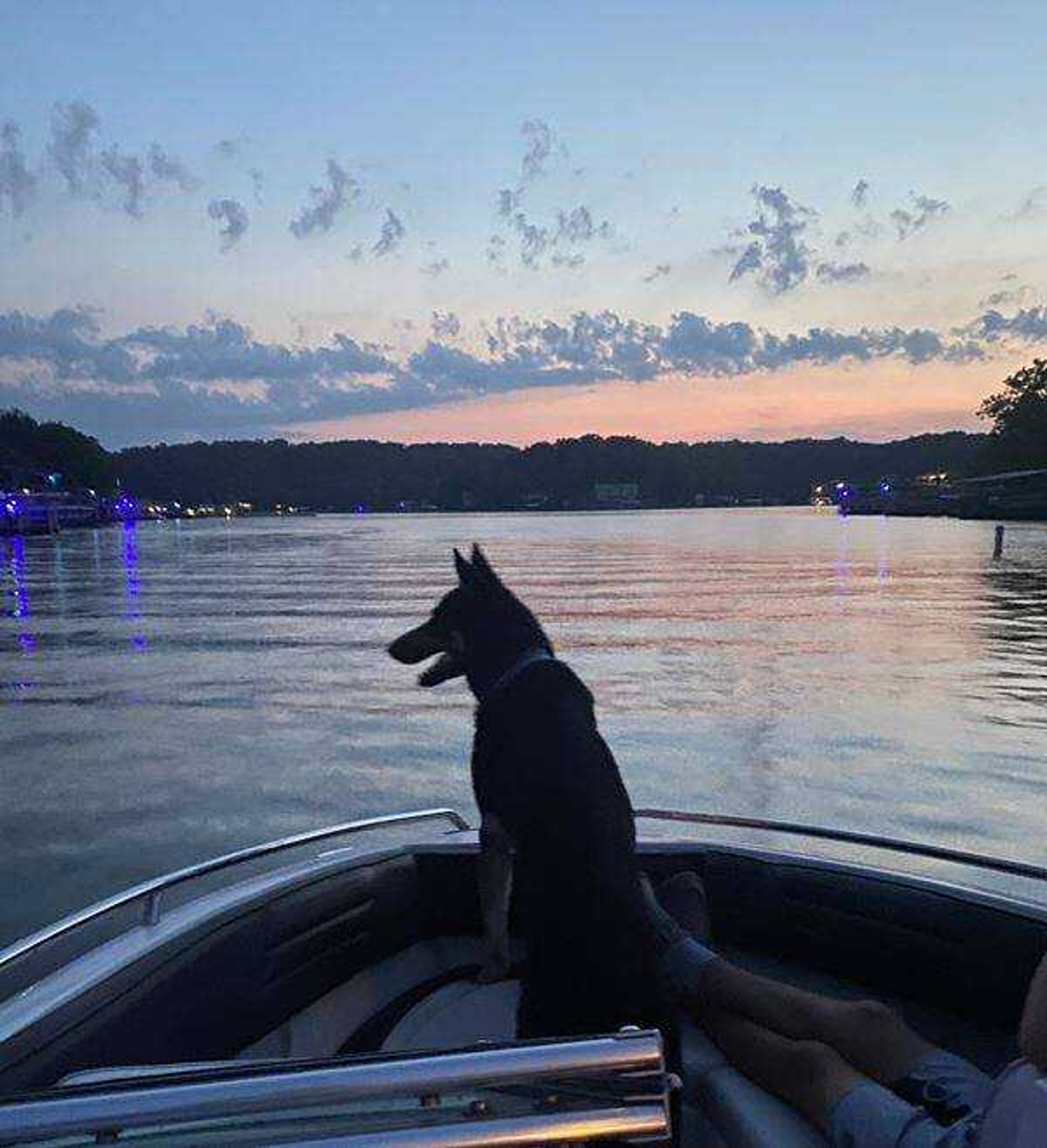 Captain Shade -&nbsp;Captain Shade is on guard at the bow for a sunset cruise at Lake of the Ozarks.