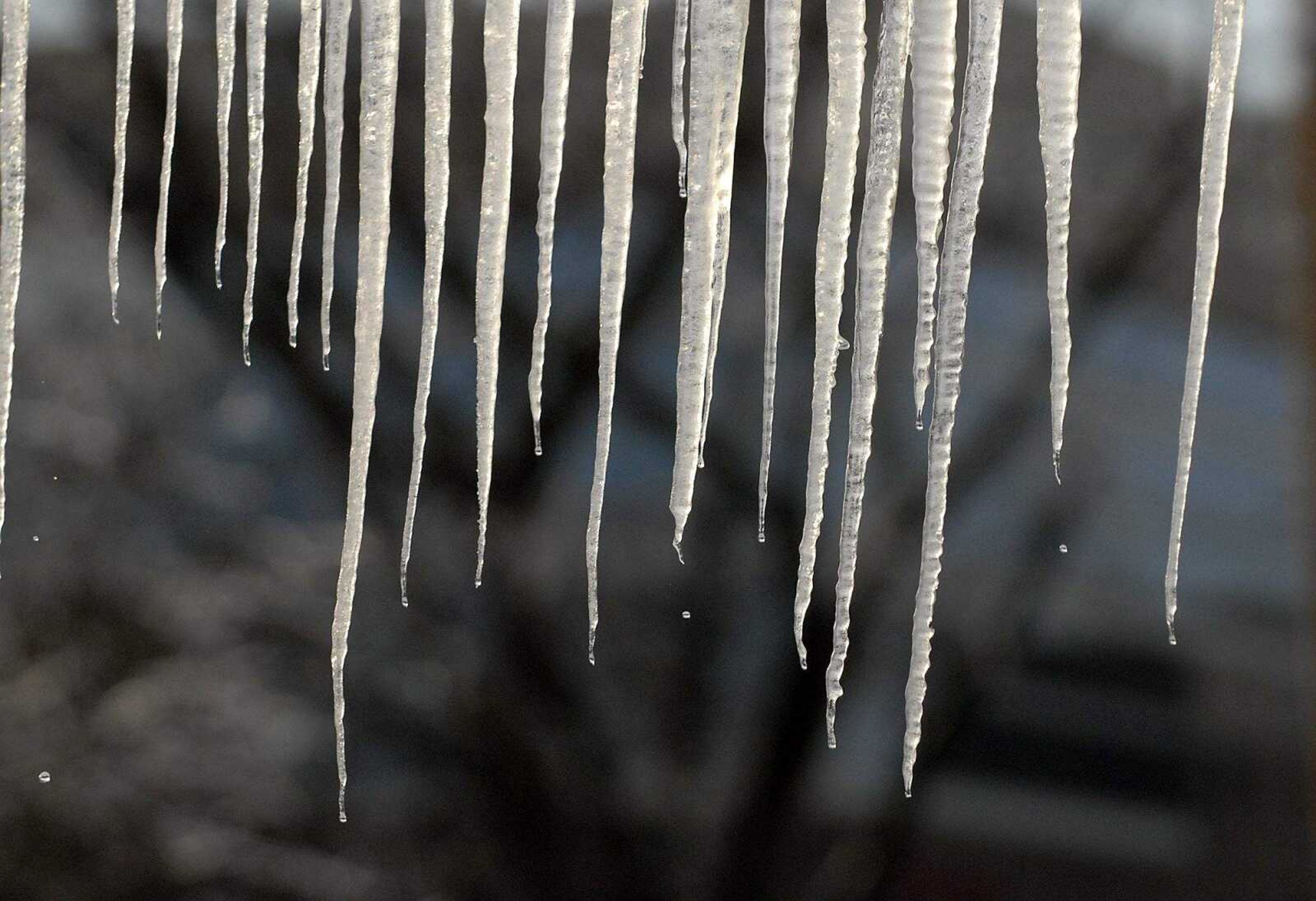 ELIZABETH DODD ~ edodd@semissourian.com
Icicles begin to melt off of a pavillion at Capaha Park Friday.